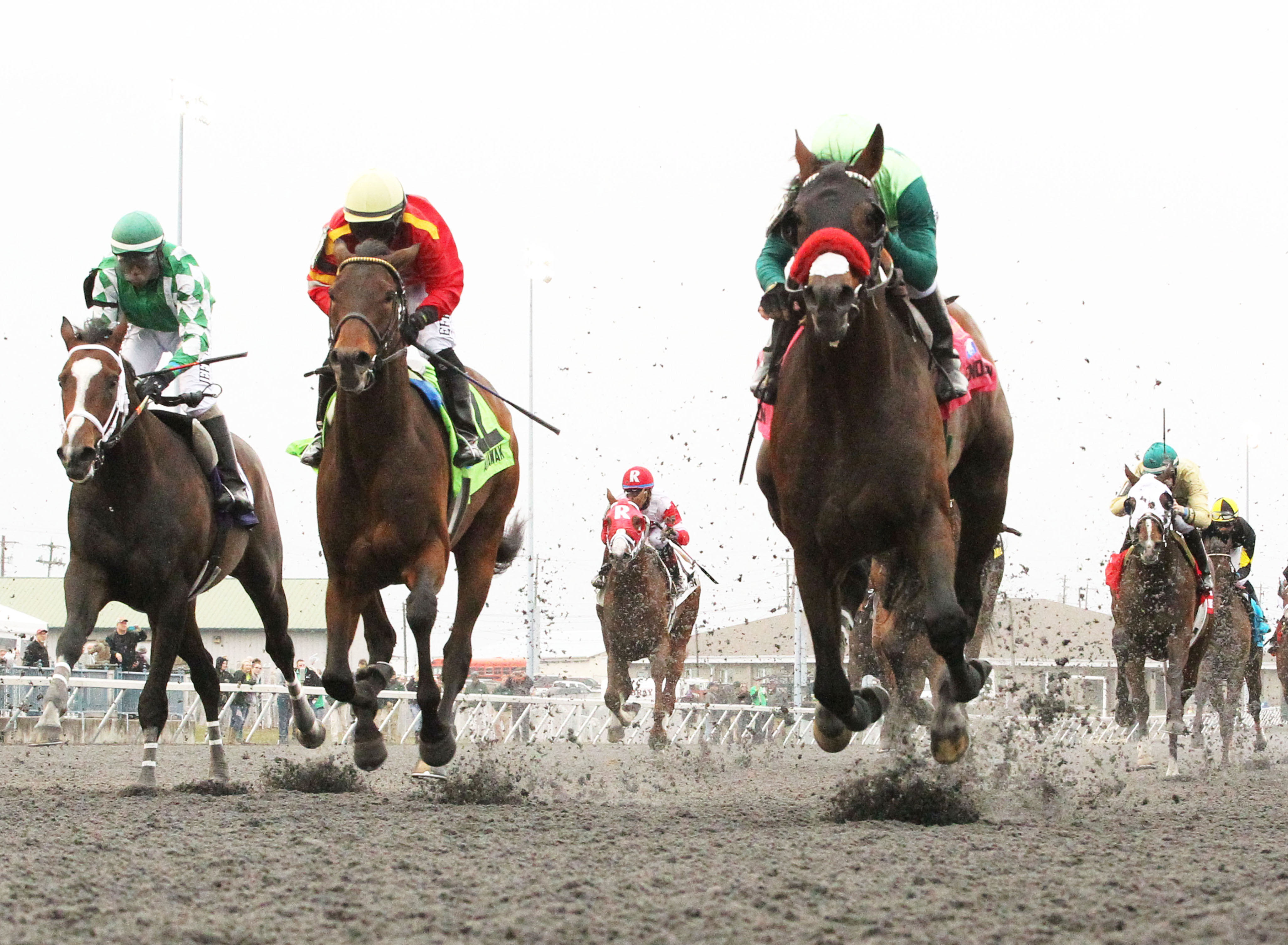 Blended Citizen wins the Jeff Ruby Steaks