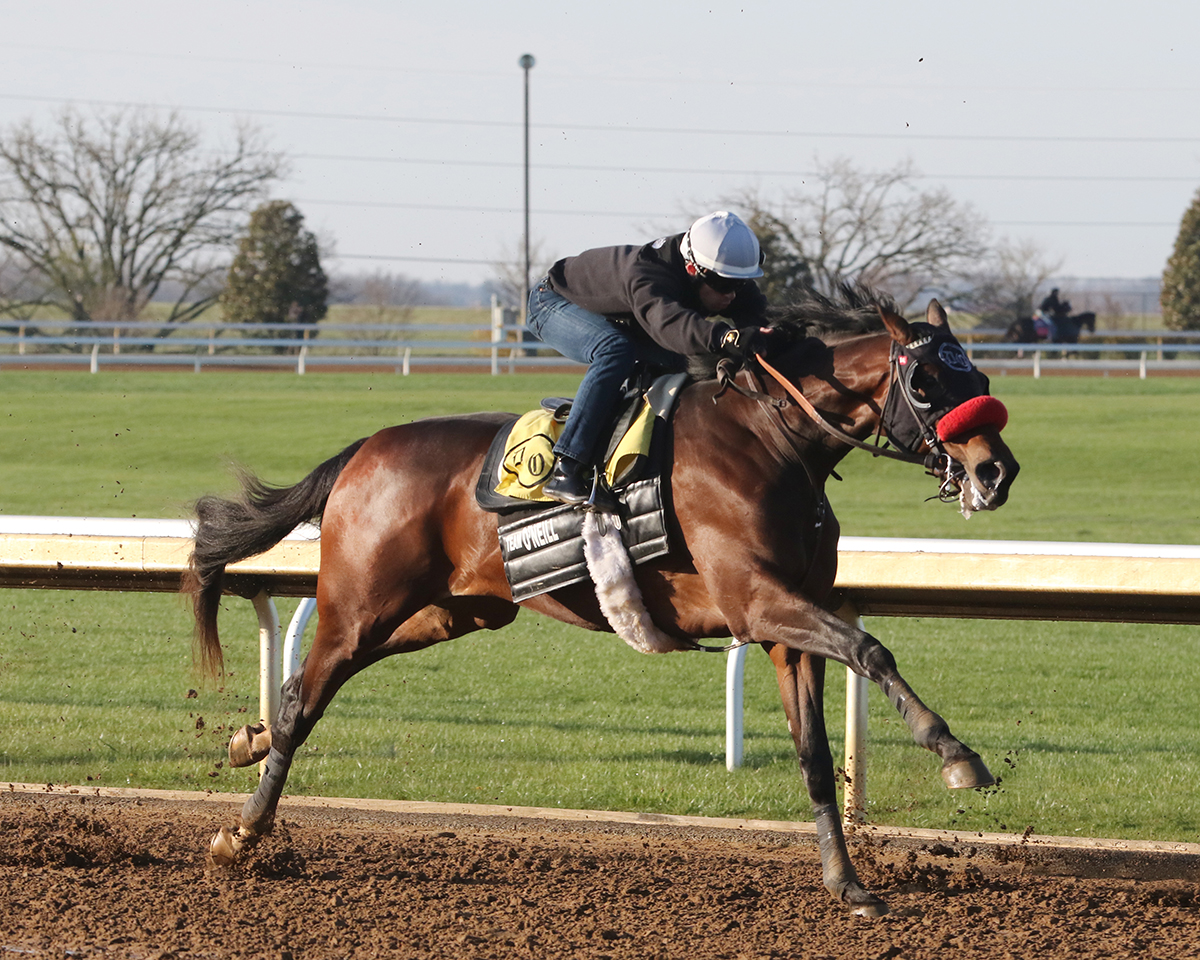 Blended Citizen works at Keeneland on March 31