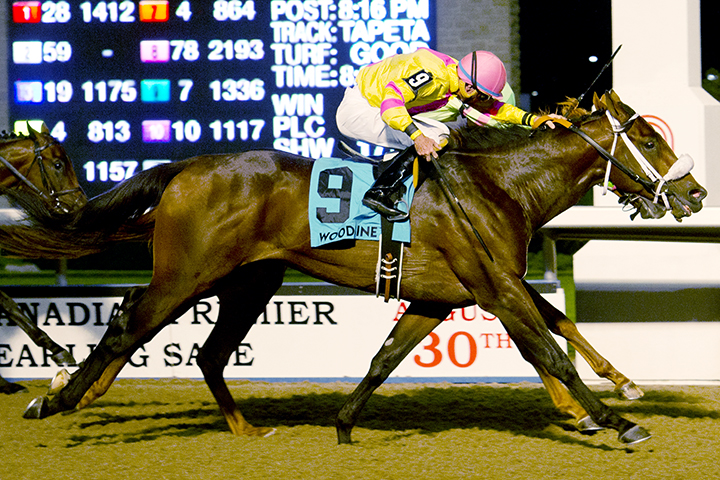 Blessed Two wins the Simcoe Stakes