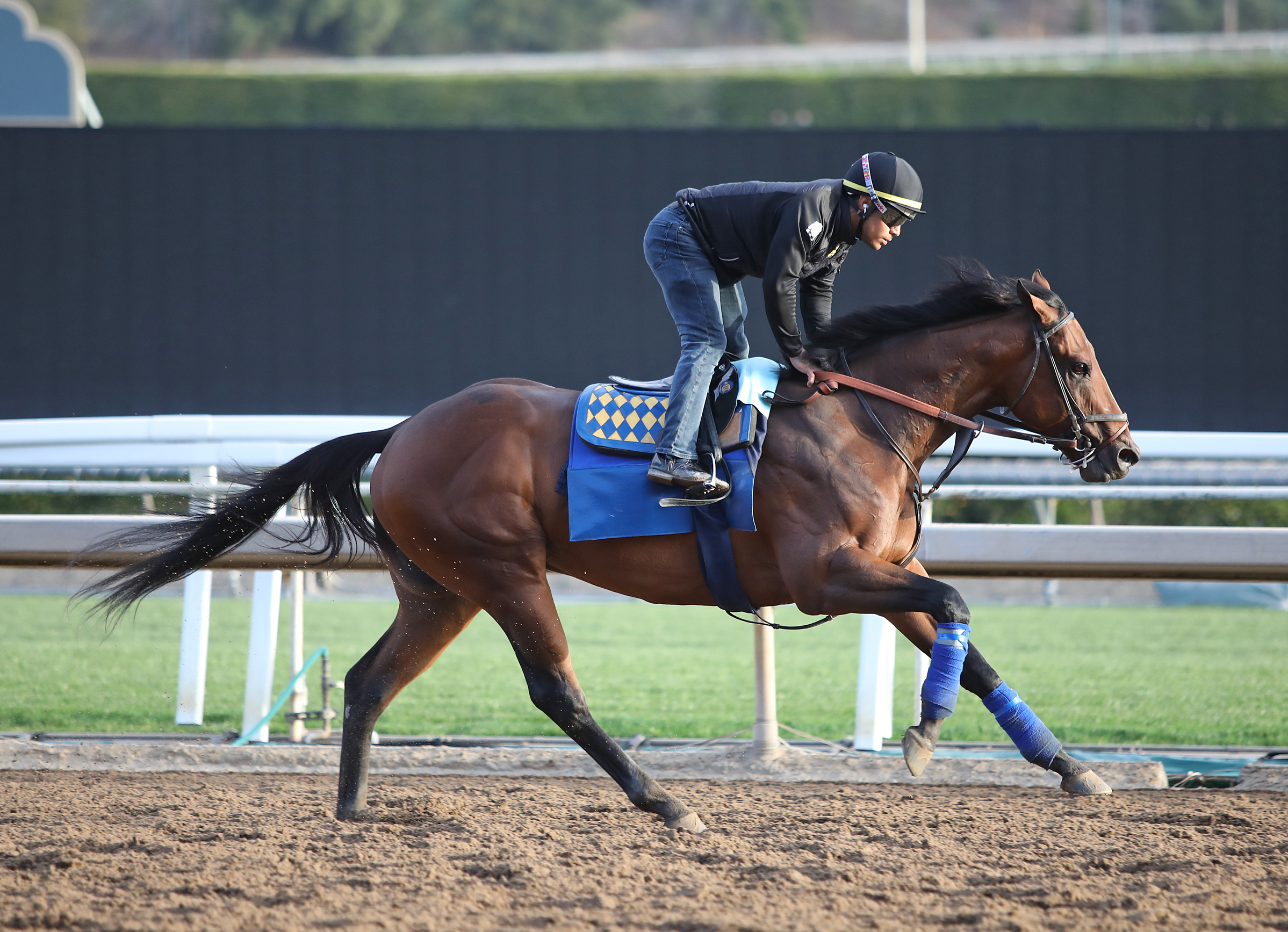 Bletchley Park trains at Santa Anita March 5 2022