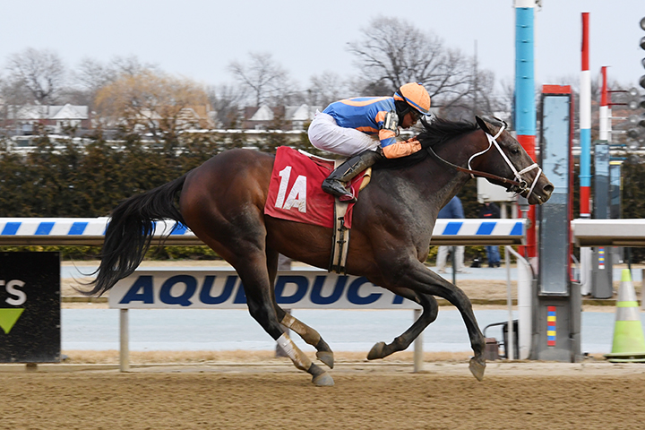 Blewitt wins a Feb. 17 allowance at Aqueduct