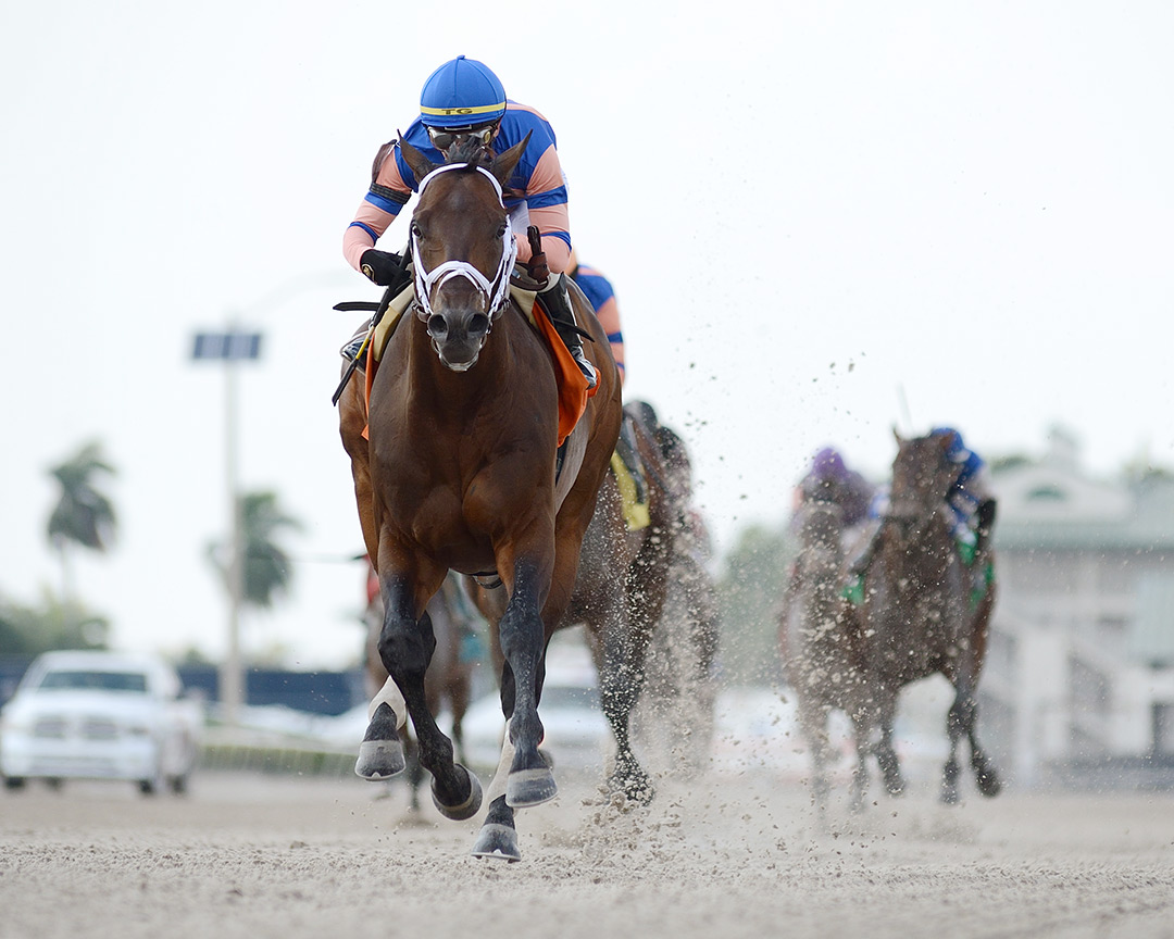 Blewitt wins an April 2020 allowance at Gulfstream Park