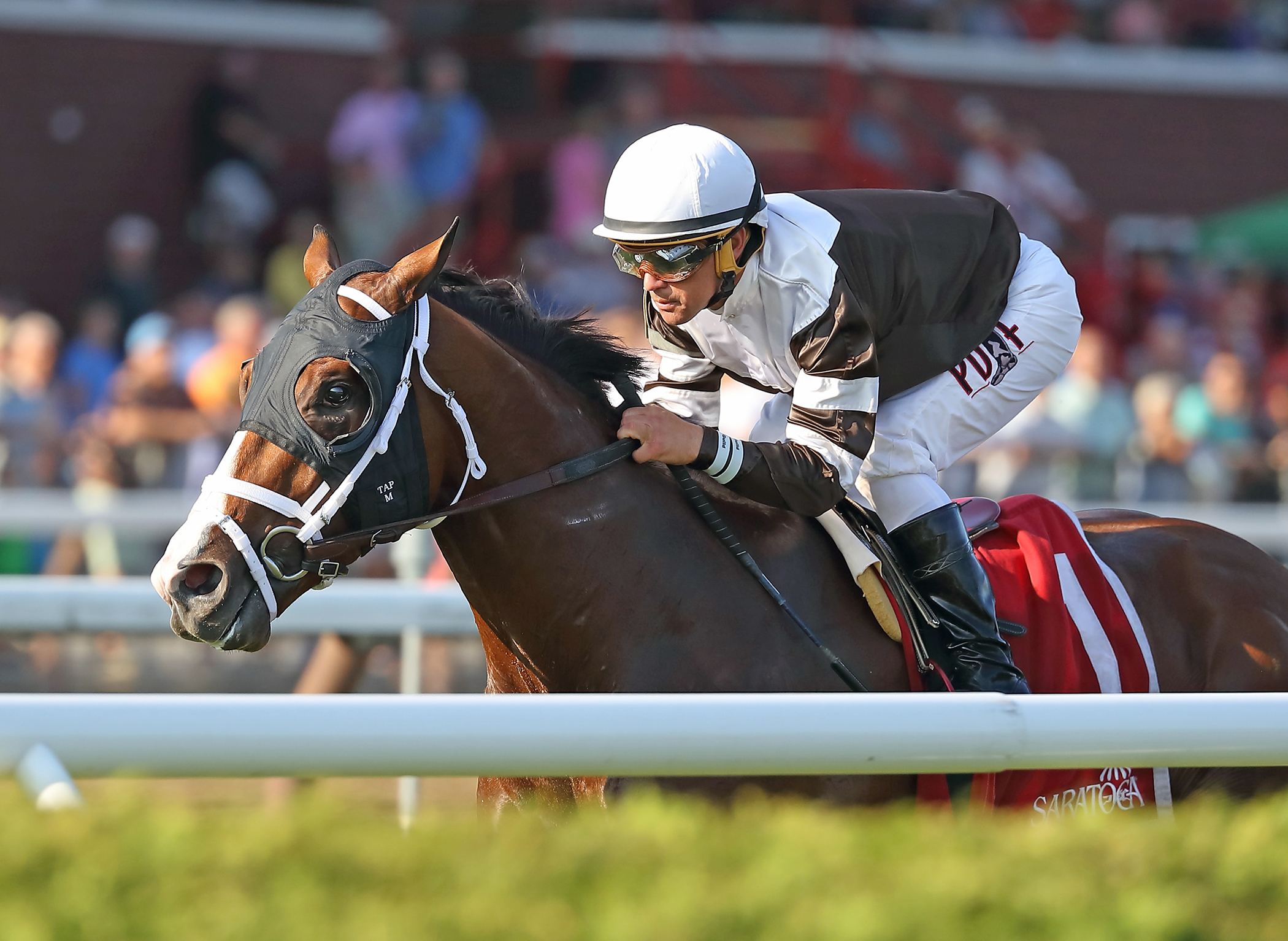 Blind Ambition wins the 2017 Quick Call Stakes