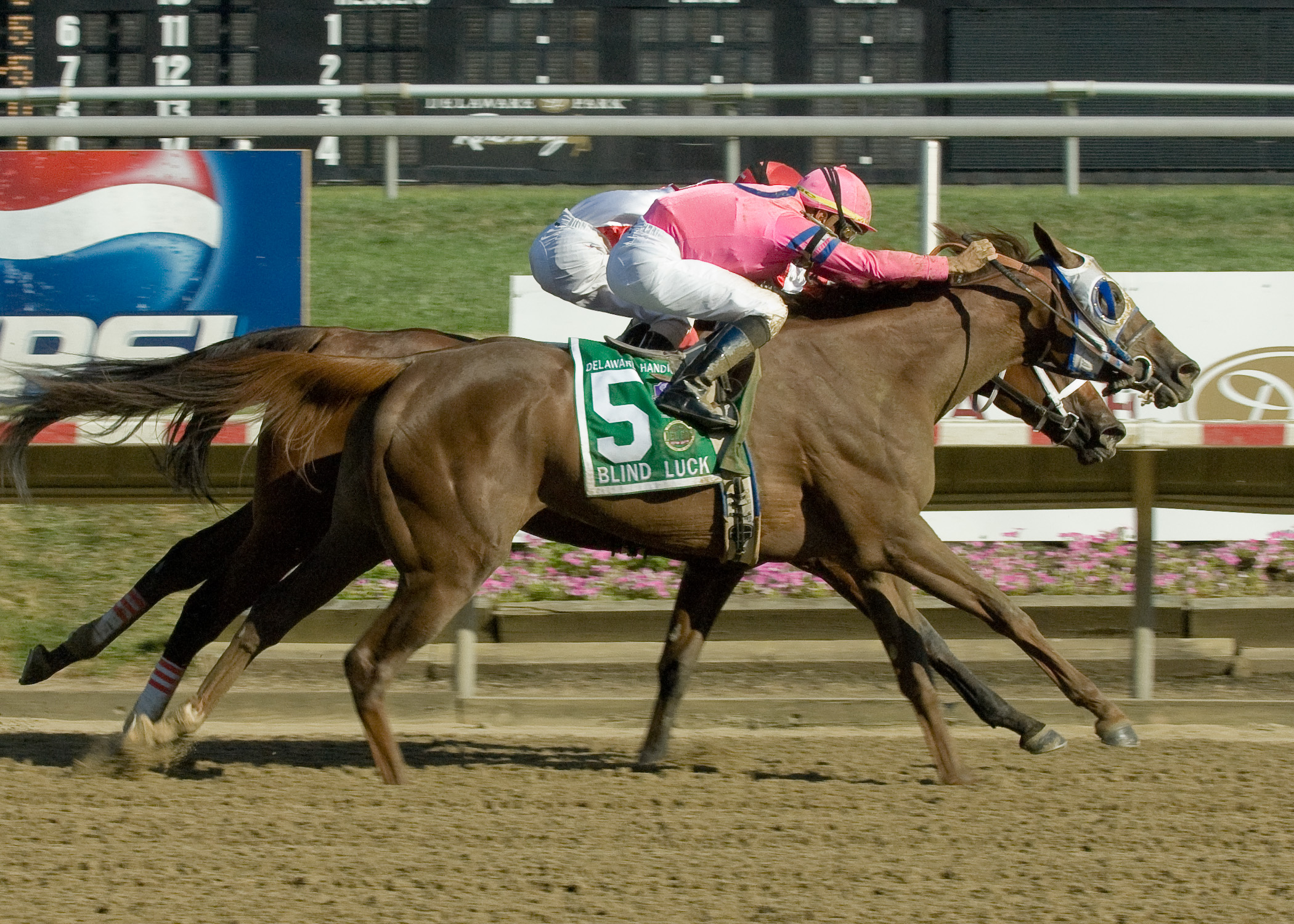 Blind Luck/Delaware Handicap