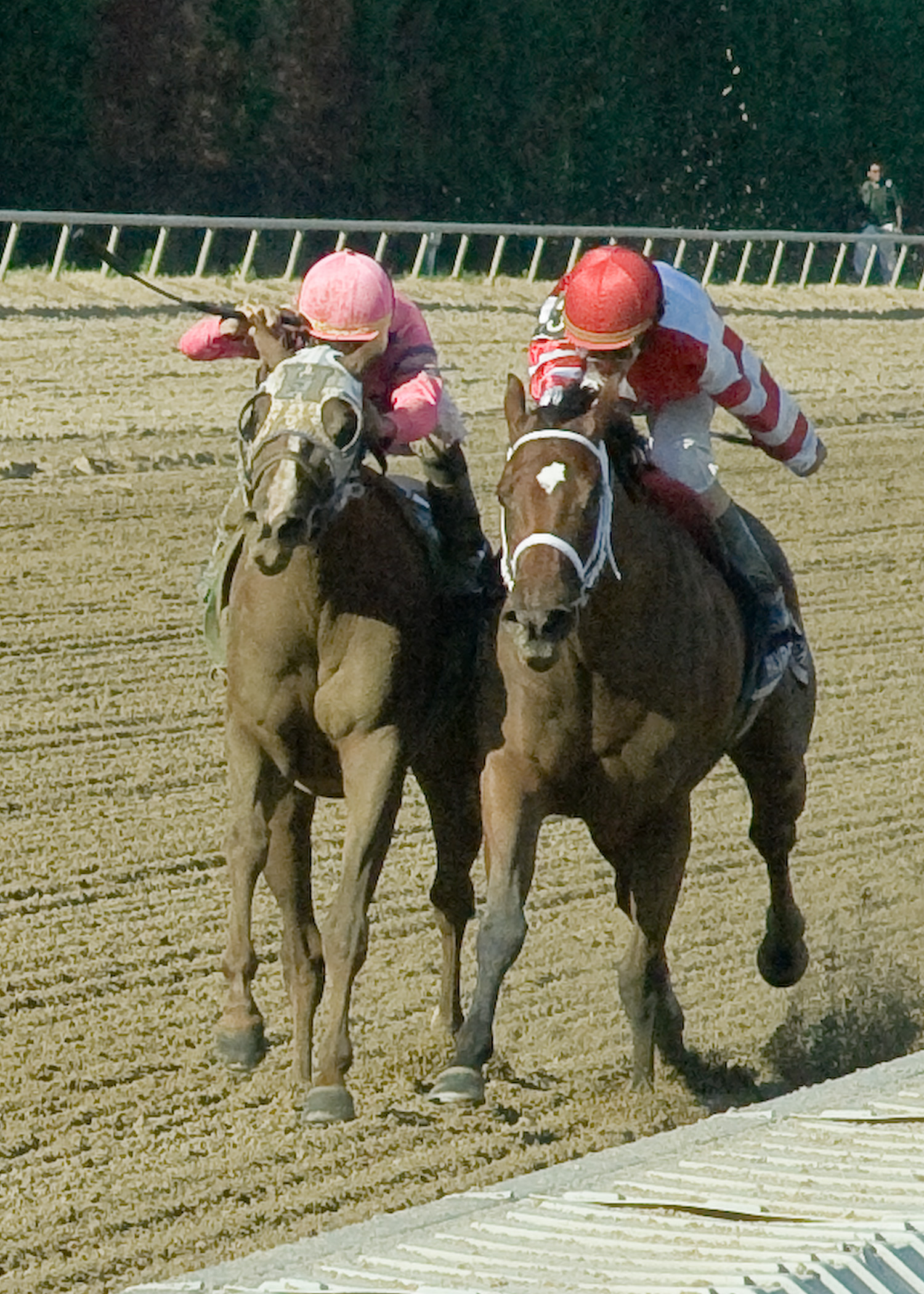 Blind Luck, Havre de Grace/Delaware Handicap