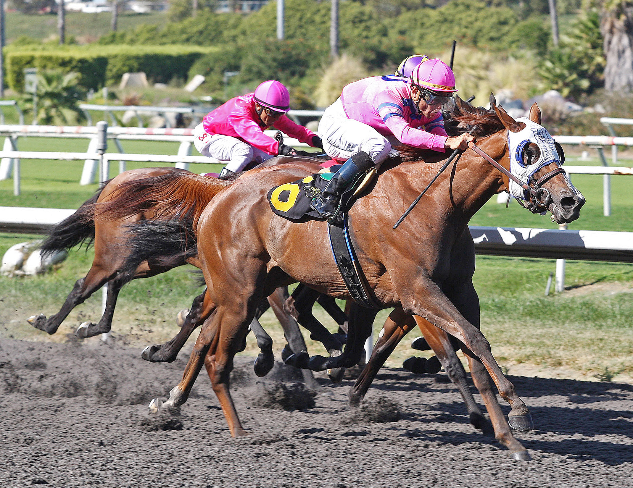 Blind Luck/Delaware Handicap