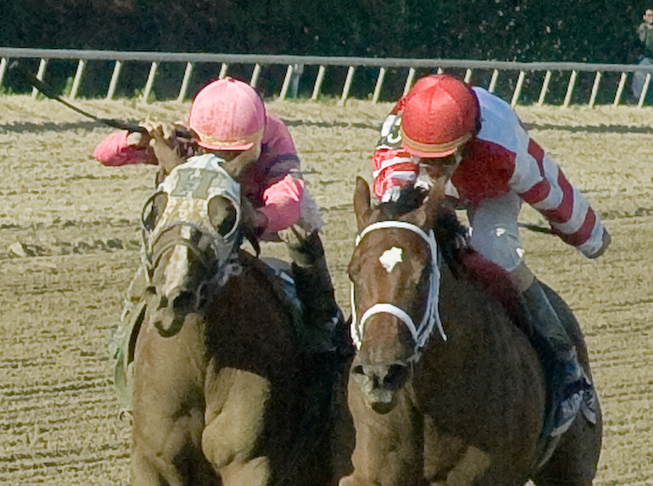 Blind Luck (left), Havre de Grace, Delaware Handicap