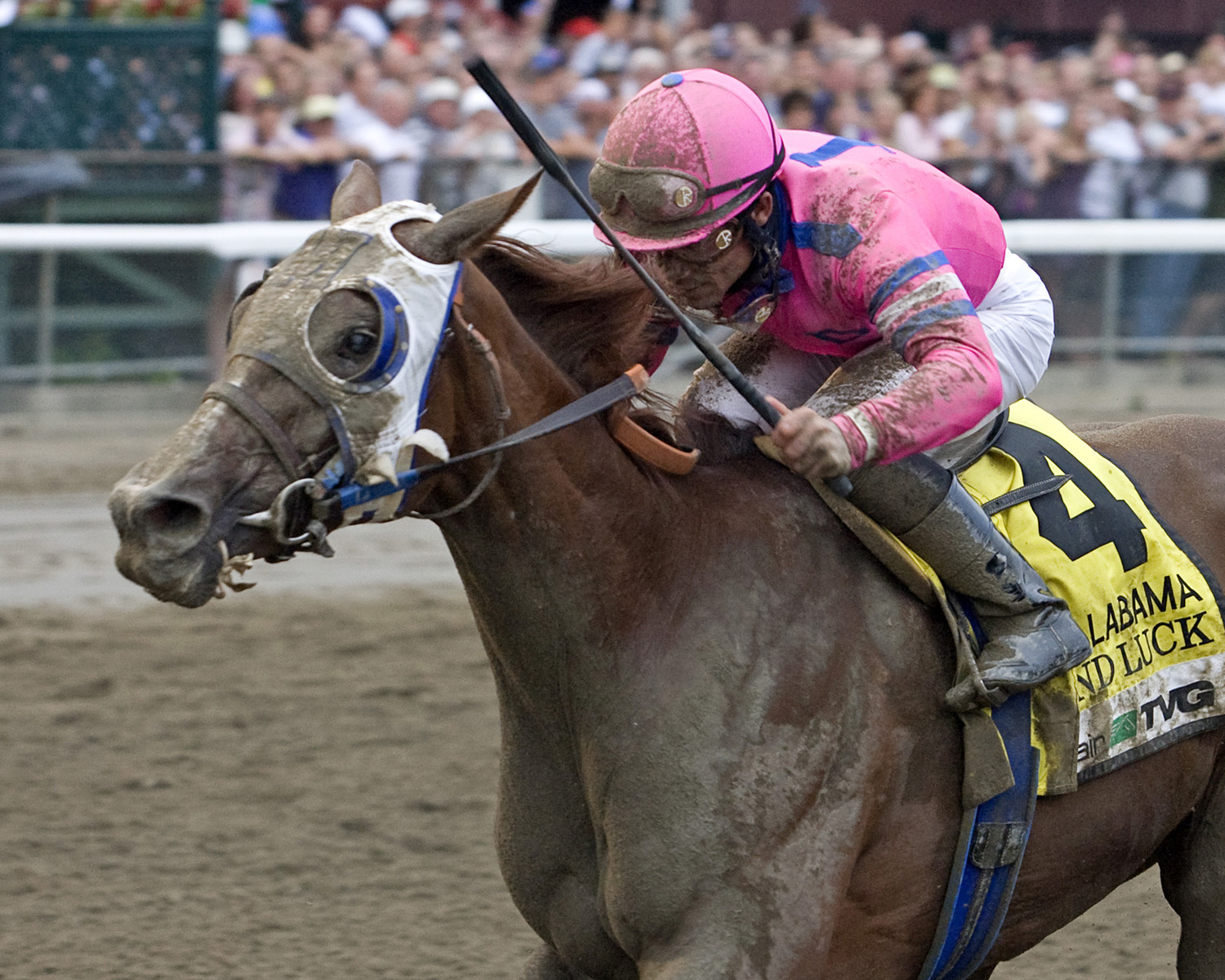 Blind Luck - Eclipse Awards