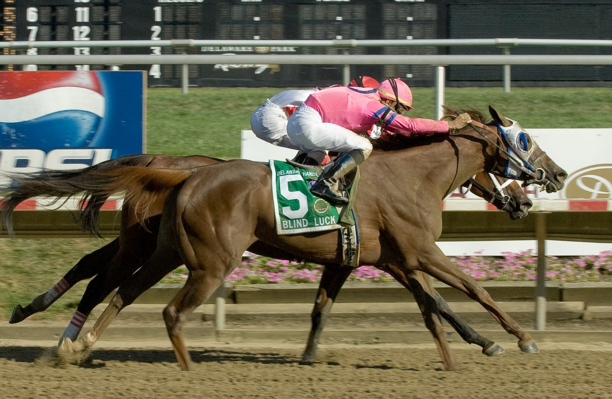 Blind luck, 2011 Delaware Handicap