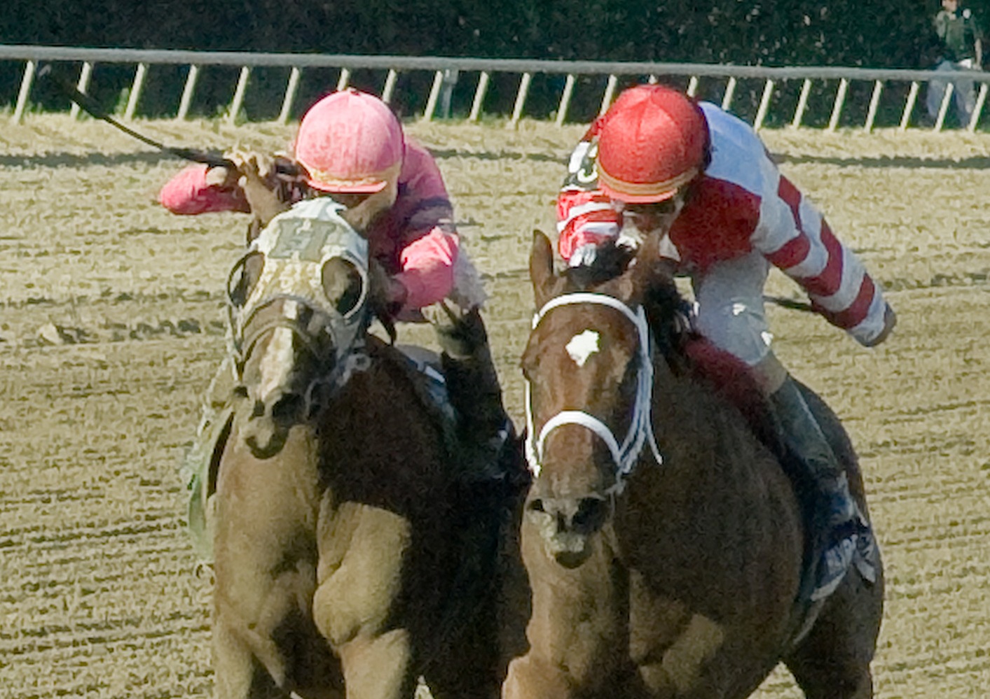 Blind Luck (left), Havre de Grace, Delaware Handicap