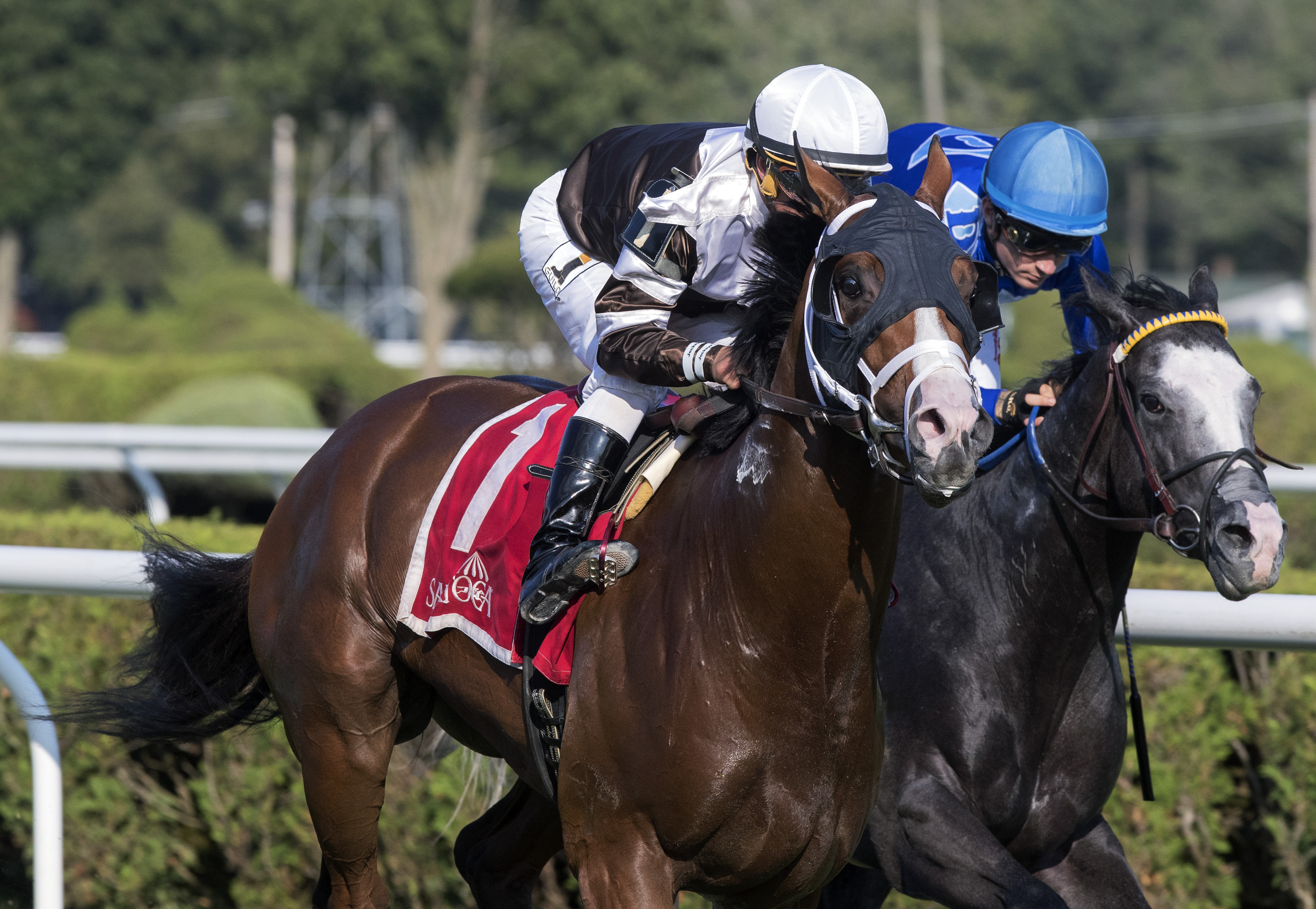 Blind Ambition wins the Quick Call Stakes at Saratoga 8.9.17_BL