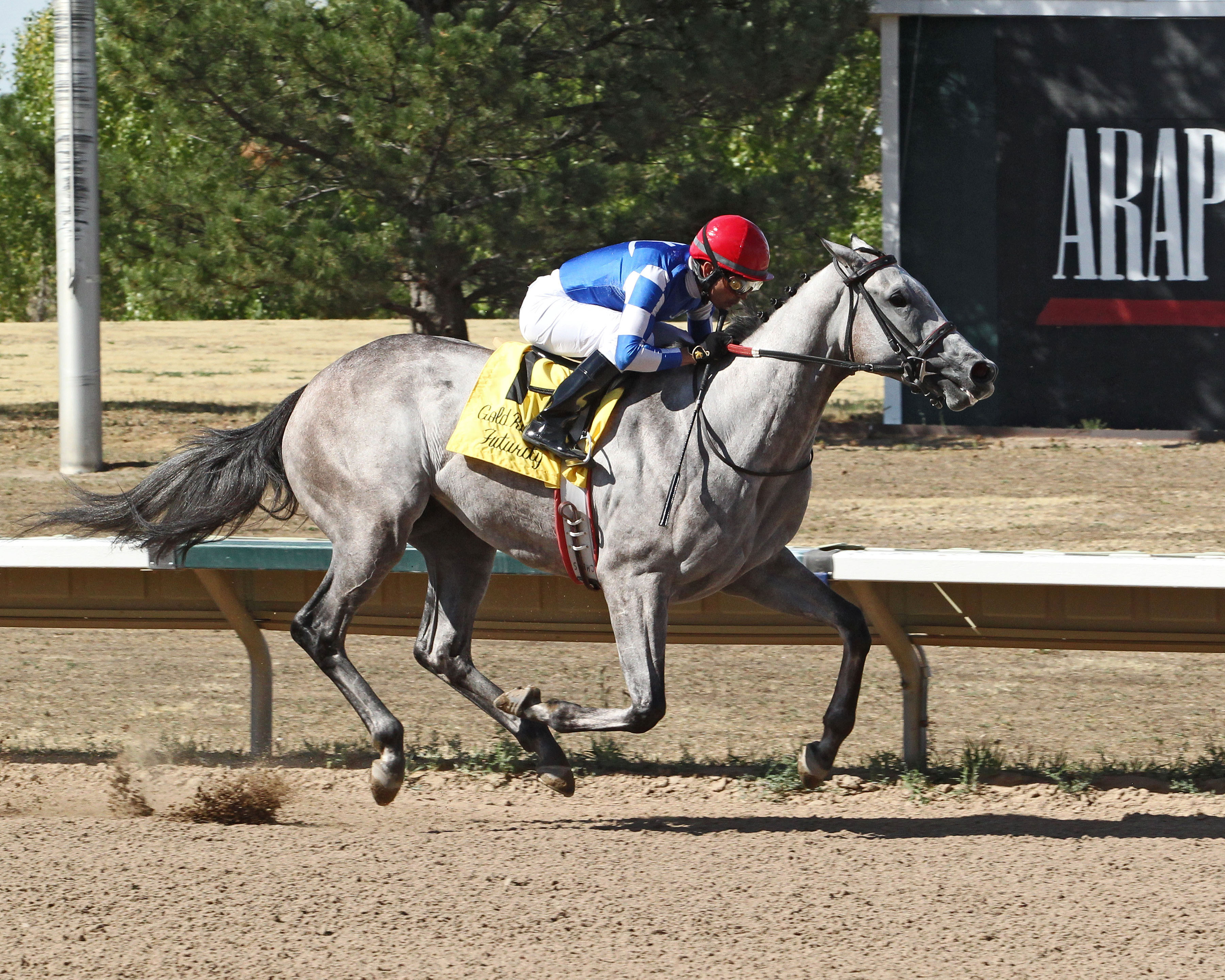 Bling On the Music wins the Gold Rush Futurity