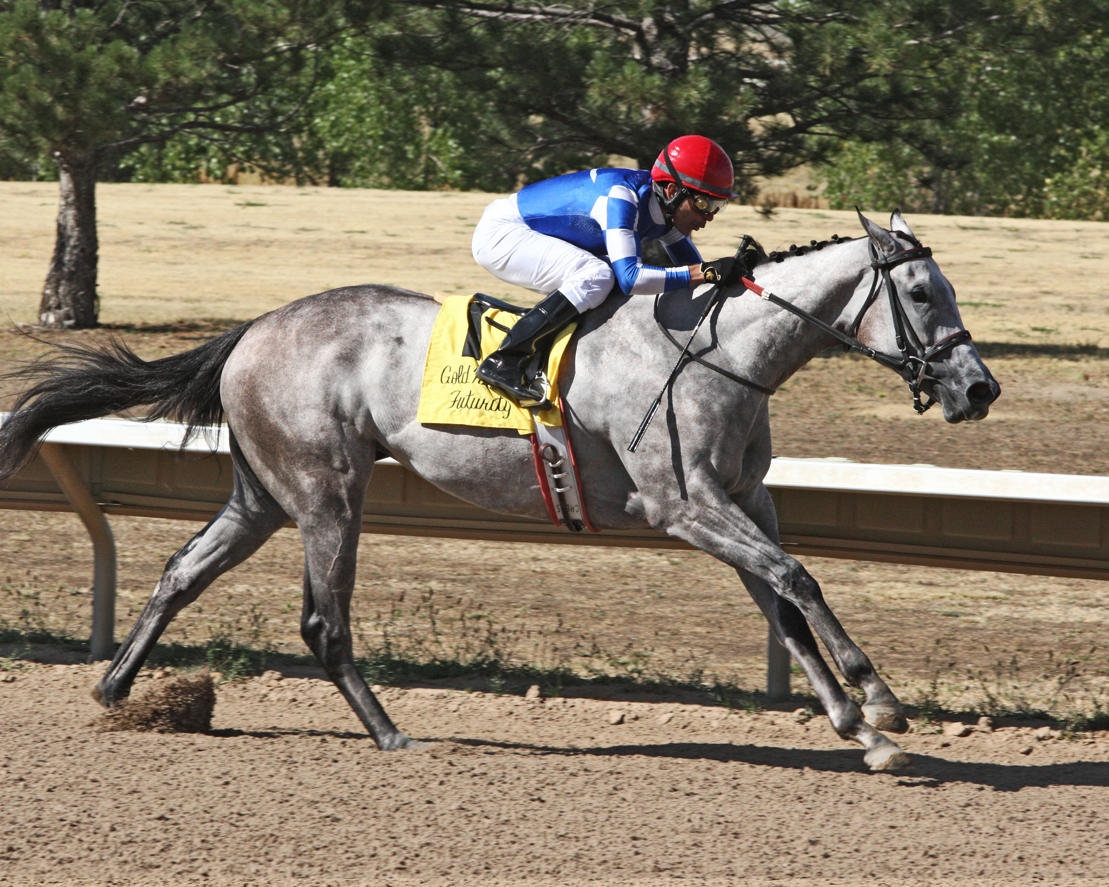 Bling On the Music wins the Gold Rush Futurity