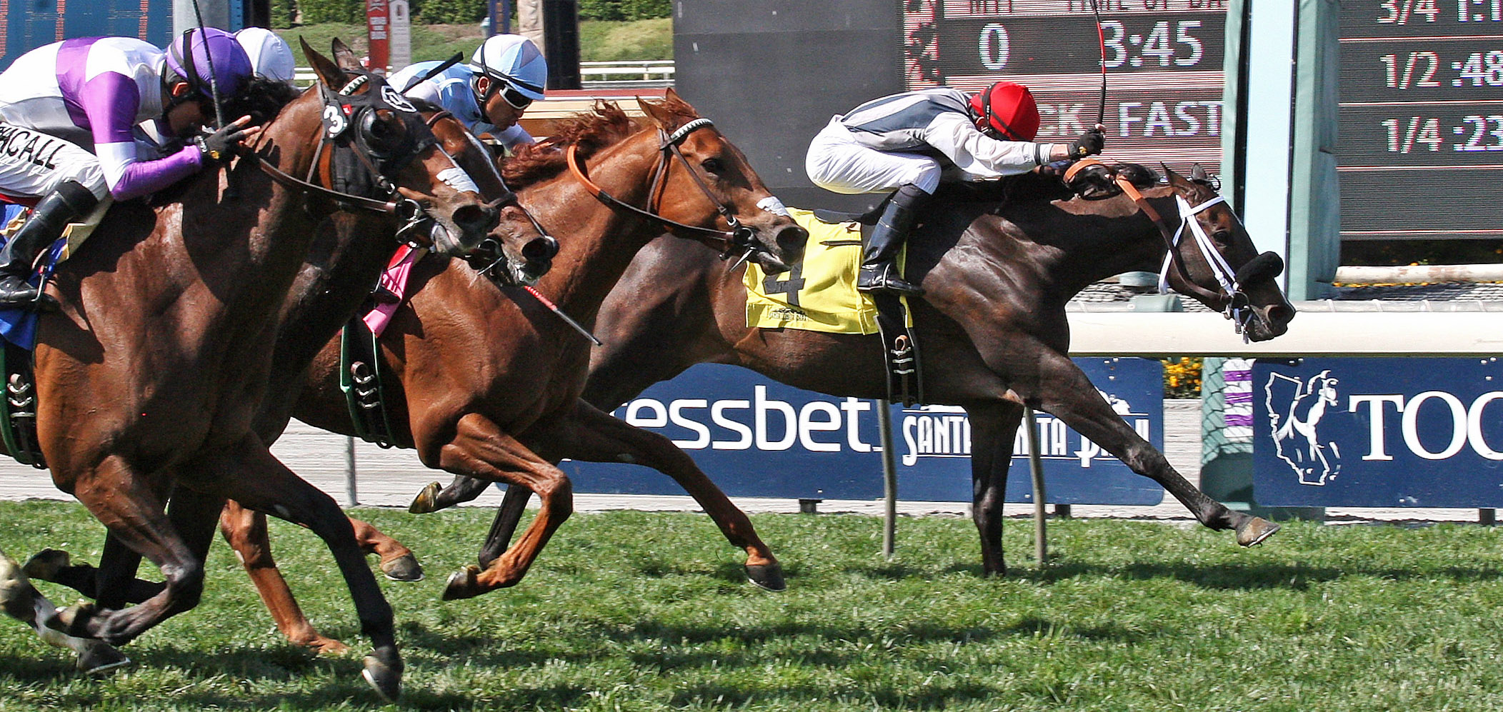 Blingismything tries to turn tables on Fanticola
