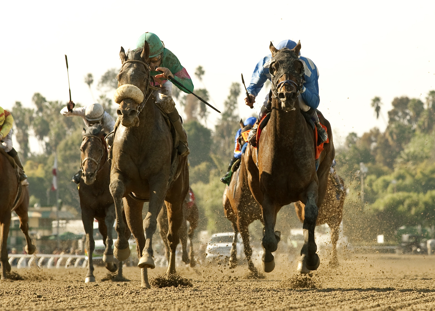 Imperative loses to Blingo in the San Antonio Stakes