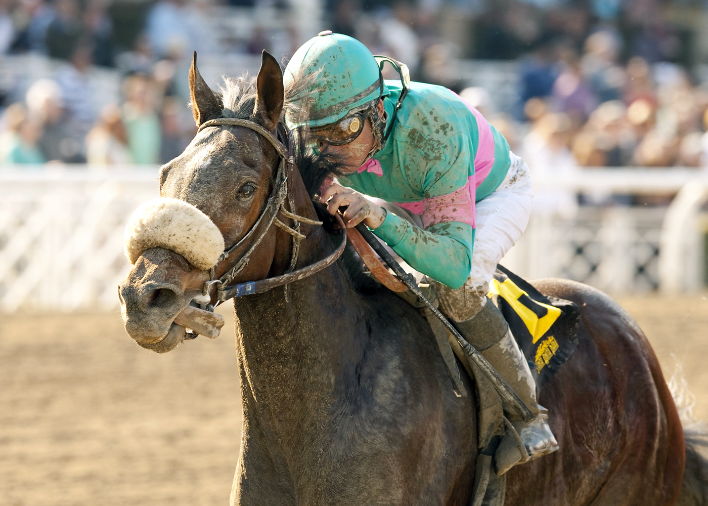 Blingo wins the San Antonio Stakes