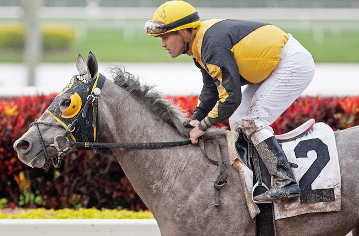 Blings Express finishes second in a Feb. 9, 2012 allowance at Gulfstream