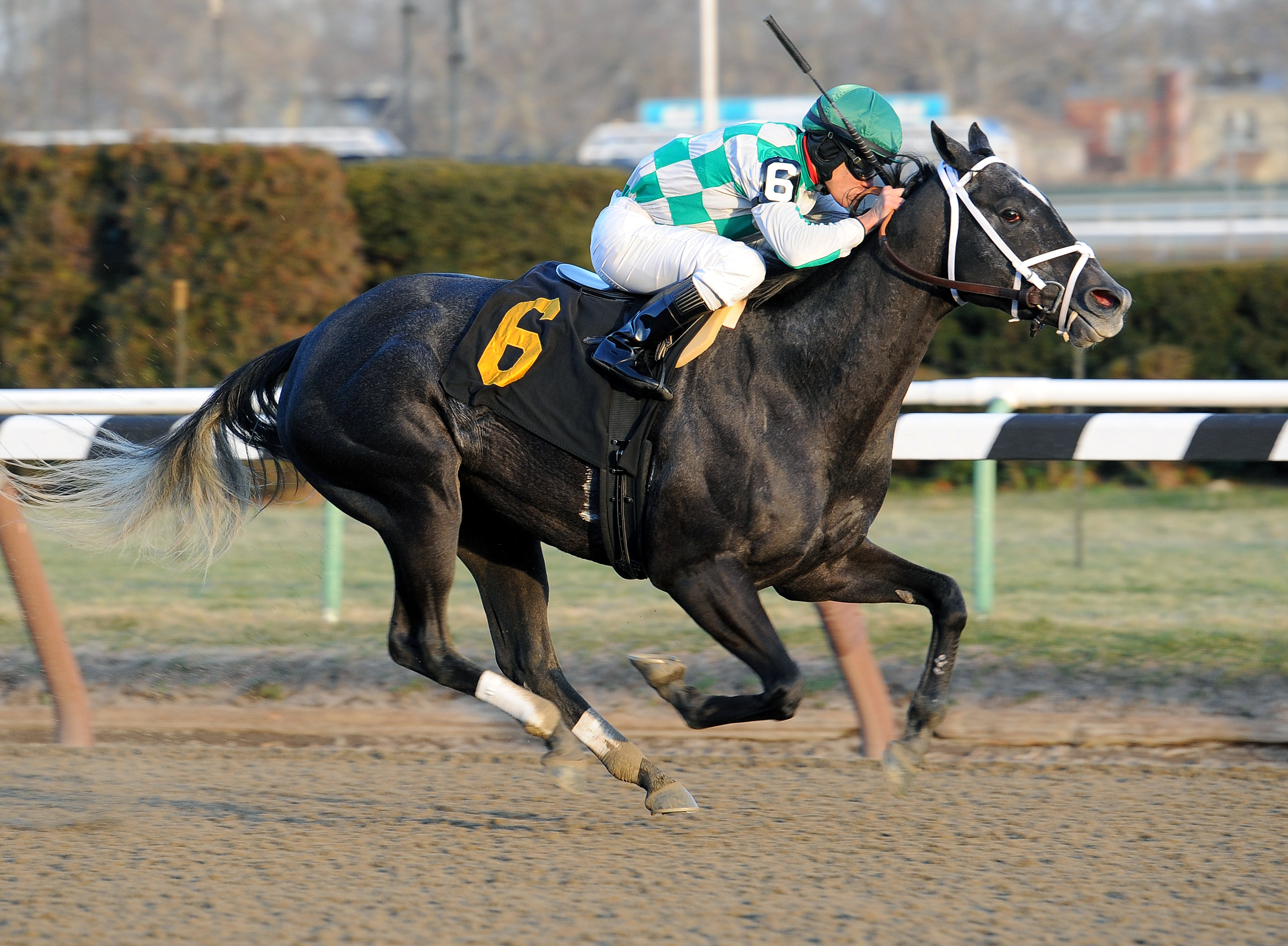 Blithely wins an allowance race
