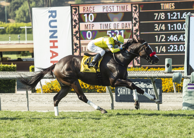 Blitzkrieg/American Stakes