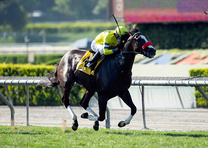 Blitzkrieg wins the 2020 American Stakes at Santa Anita