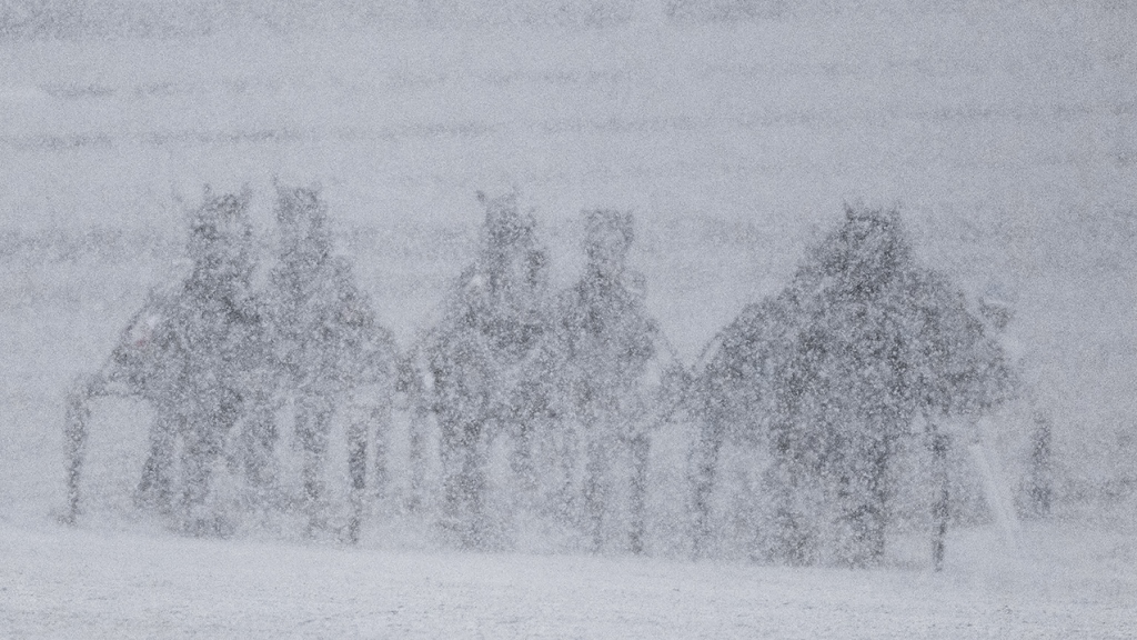 Blizzard