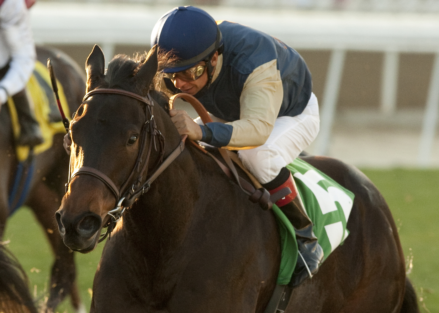 Bloemer Girl 1-22-2011