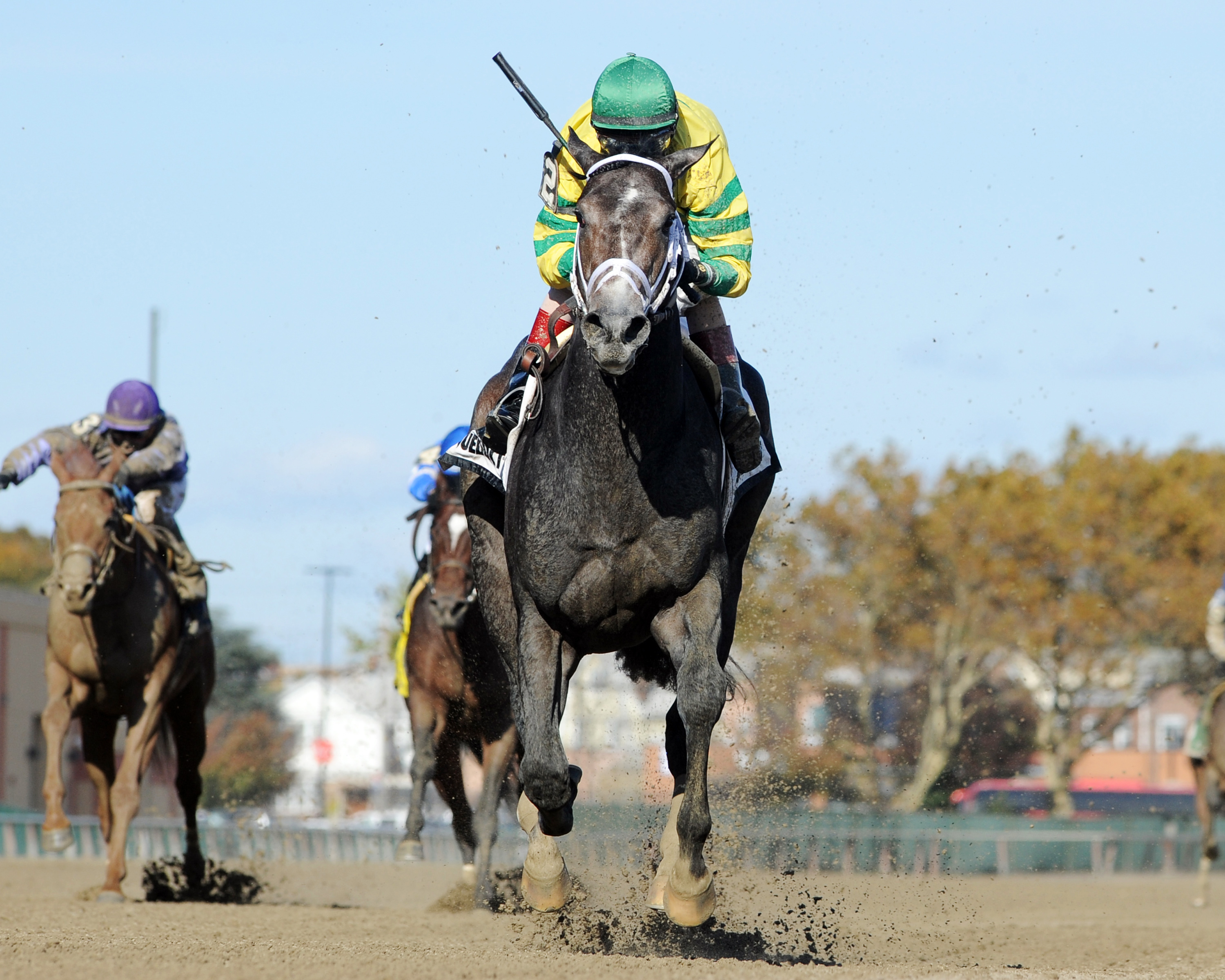 Blofeld wins the Nashua
