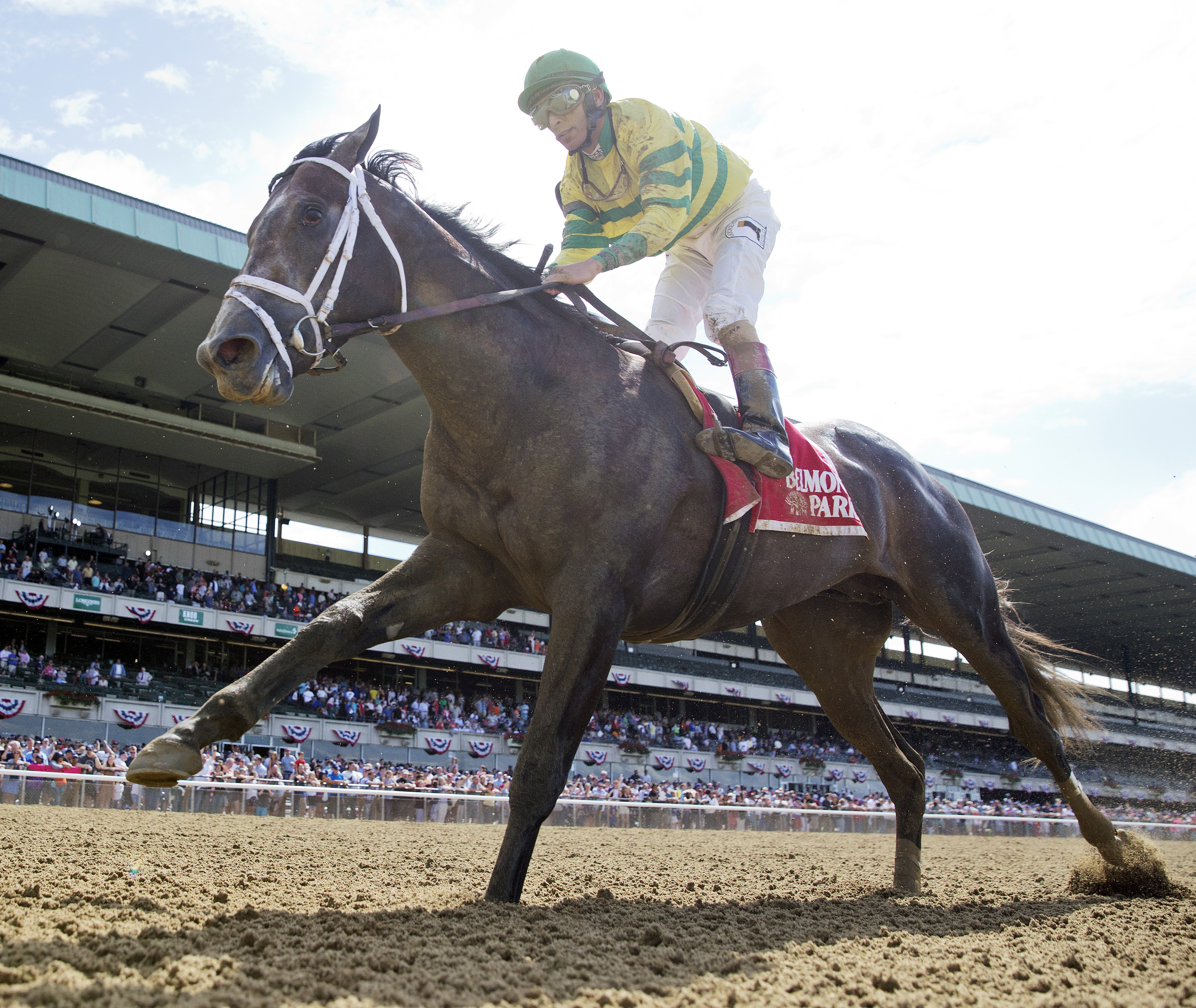 Blofeld finishes fifth in the 2015 Dwyer
