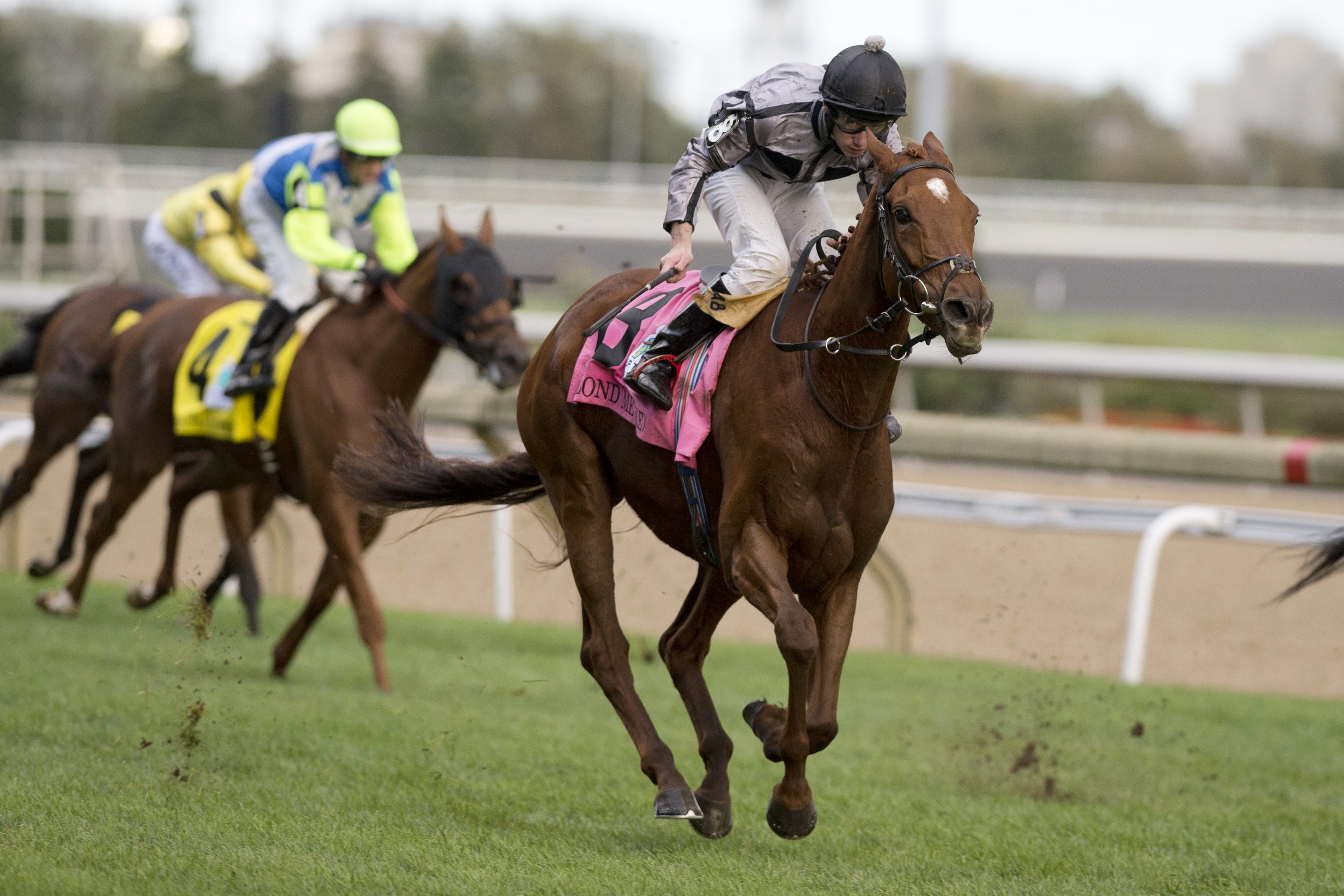 Blond Me wins the 2017 E. P. Taylor Stakes