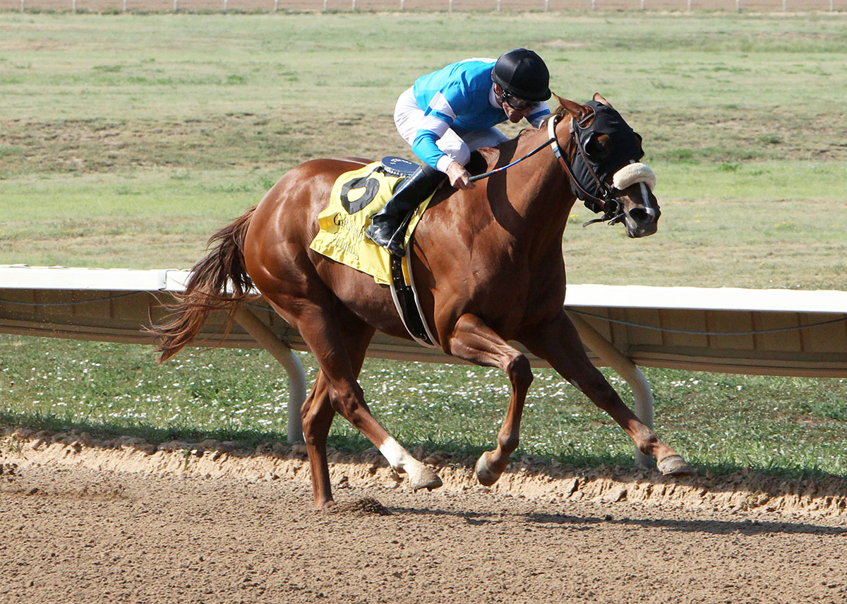 Bloomin Perfect wins the 2018 Gold Rush Futurity