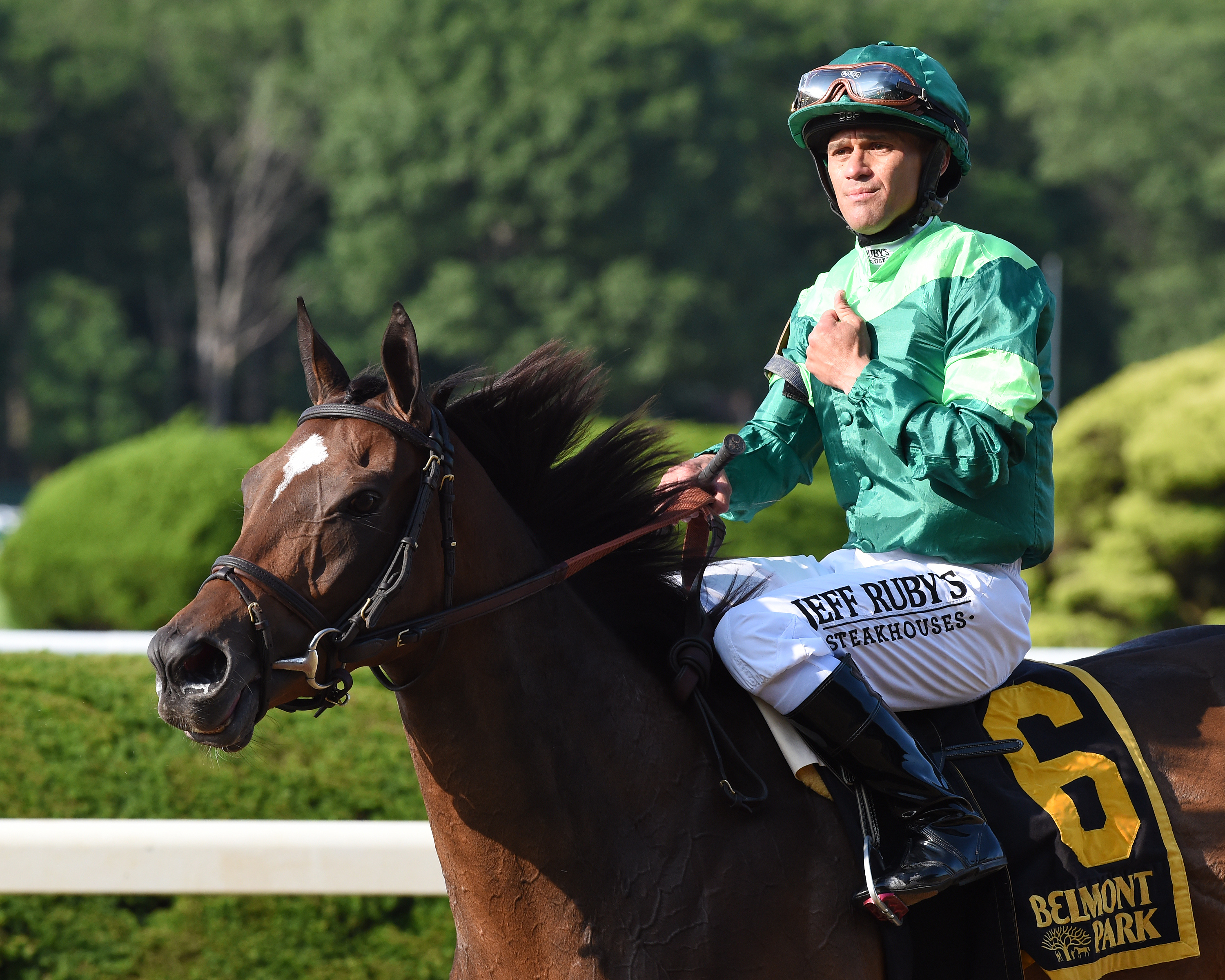 Blowout after winning the 2019 Wild Applause Stakes