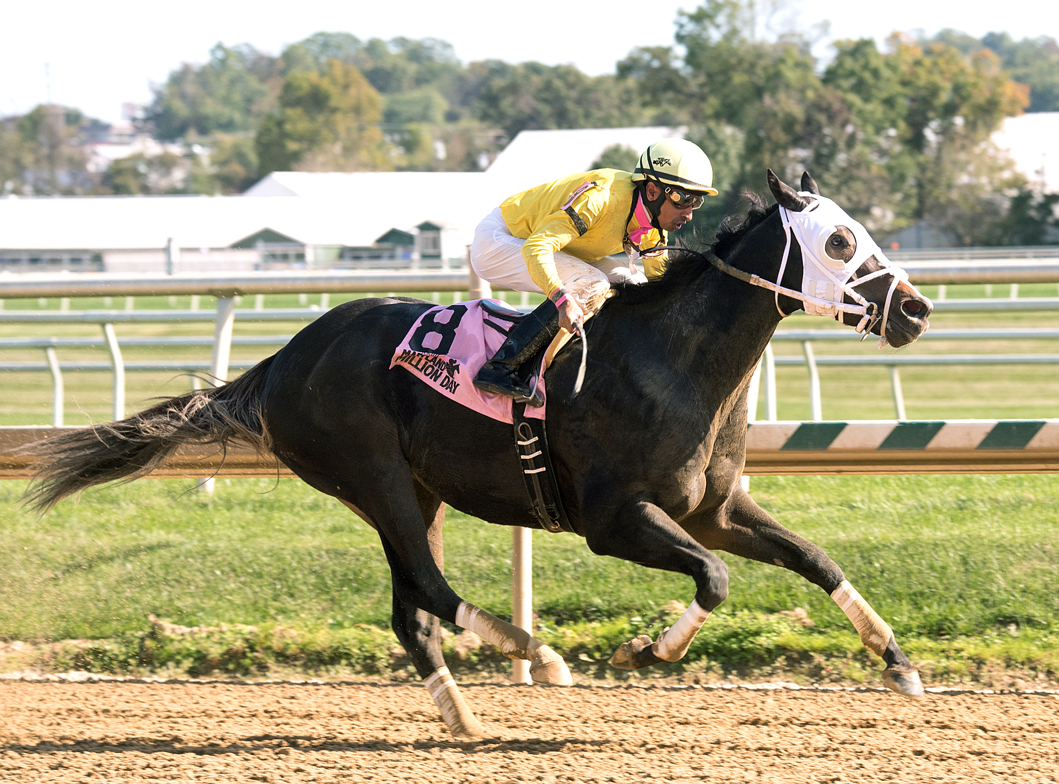 Blu Moon Ace wins the Maryland Million Sprint