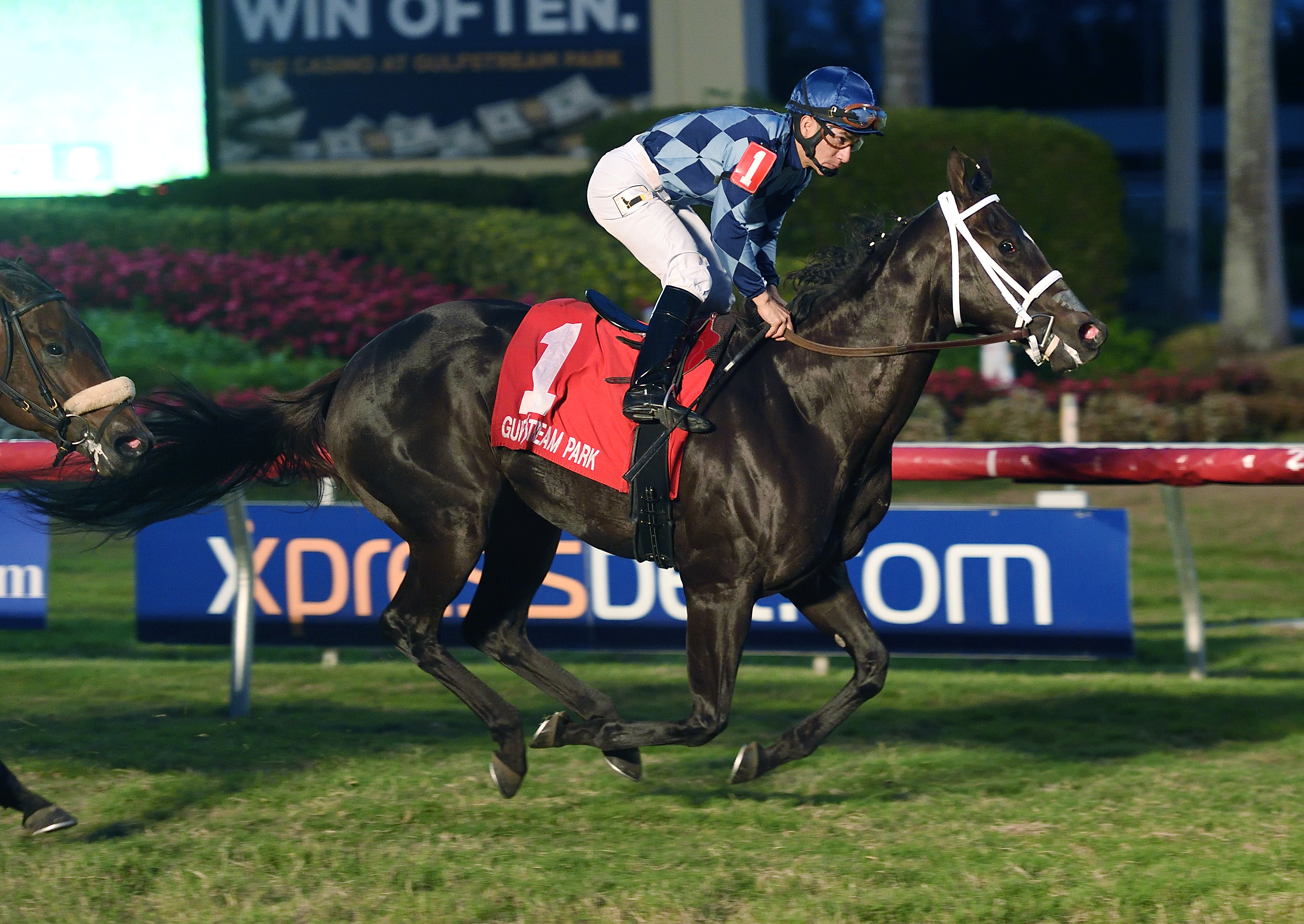 Blue Bahia wins the 2018 Captiva Island Stakes
