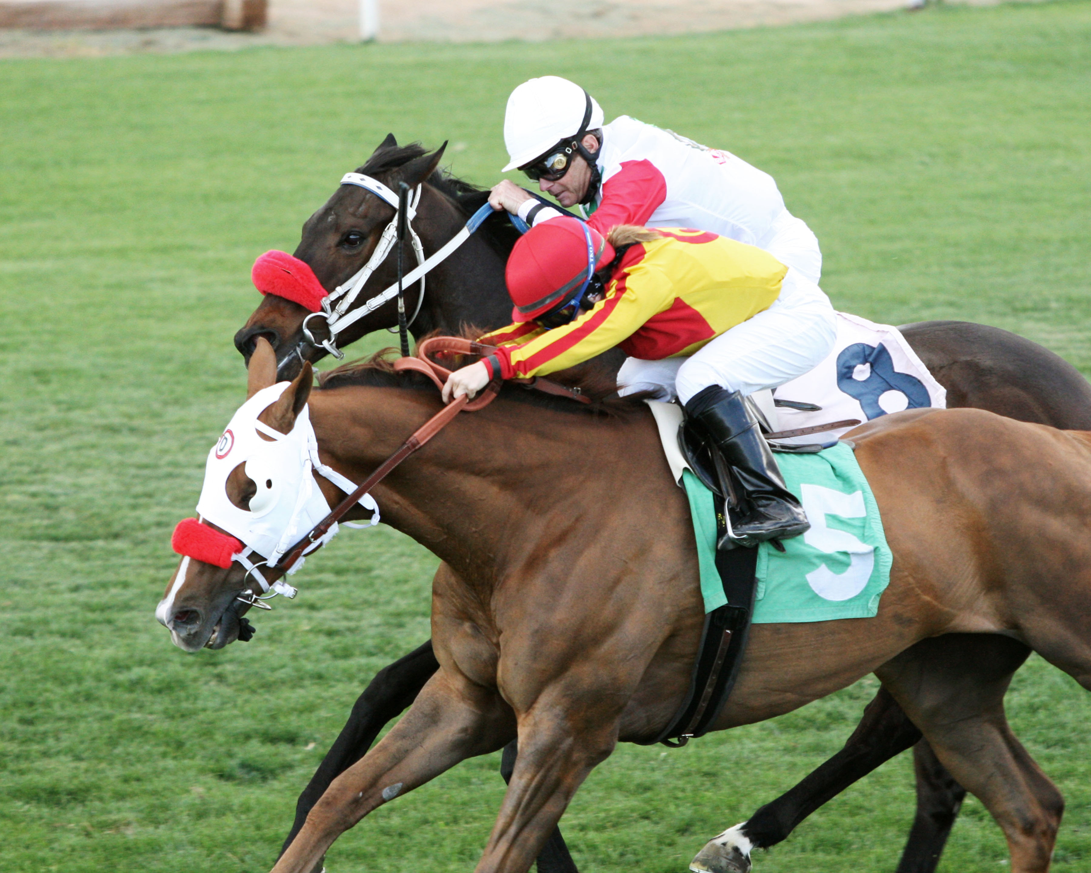 Blue Bomber wins the Wildcat Handicap