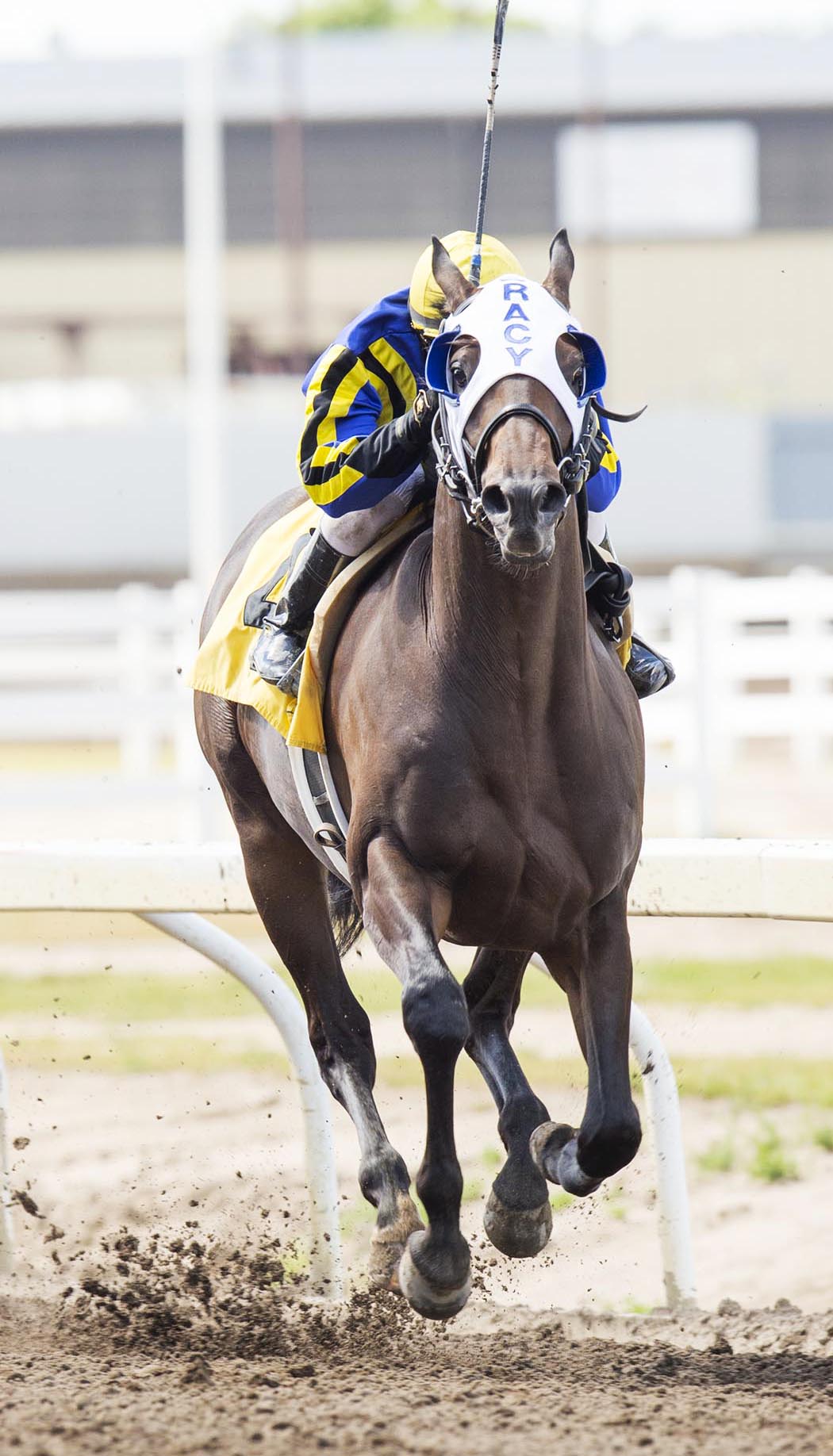 Blue Dancer wins the Count Lathum