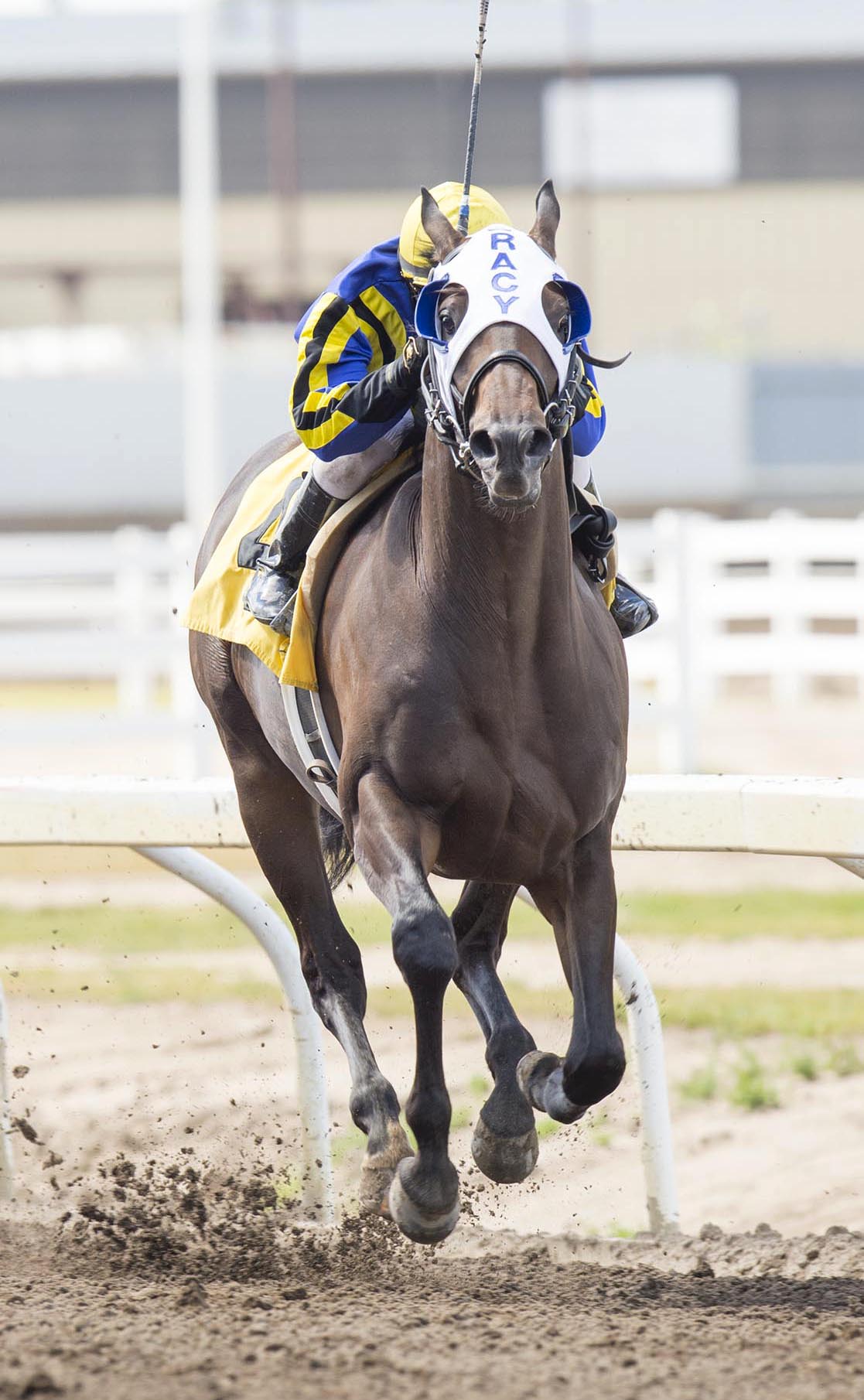 Blue Dancer wins the 2015 Count Latham