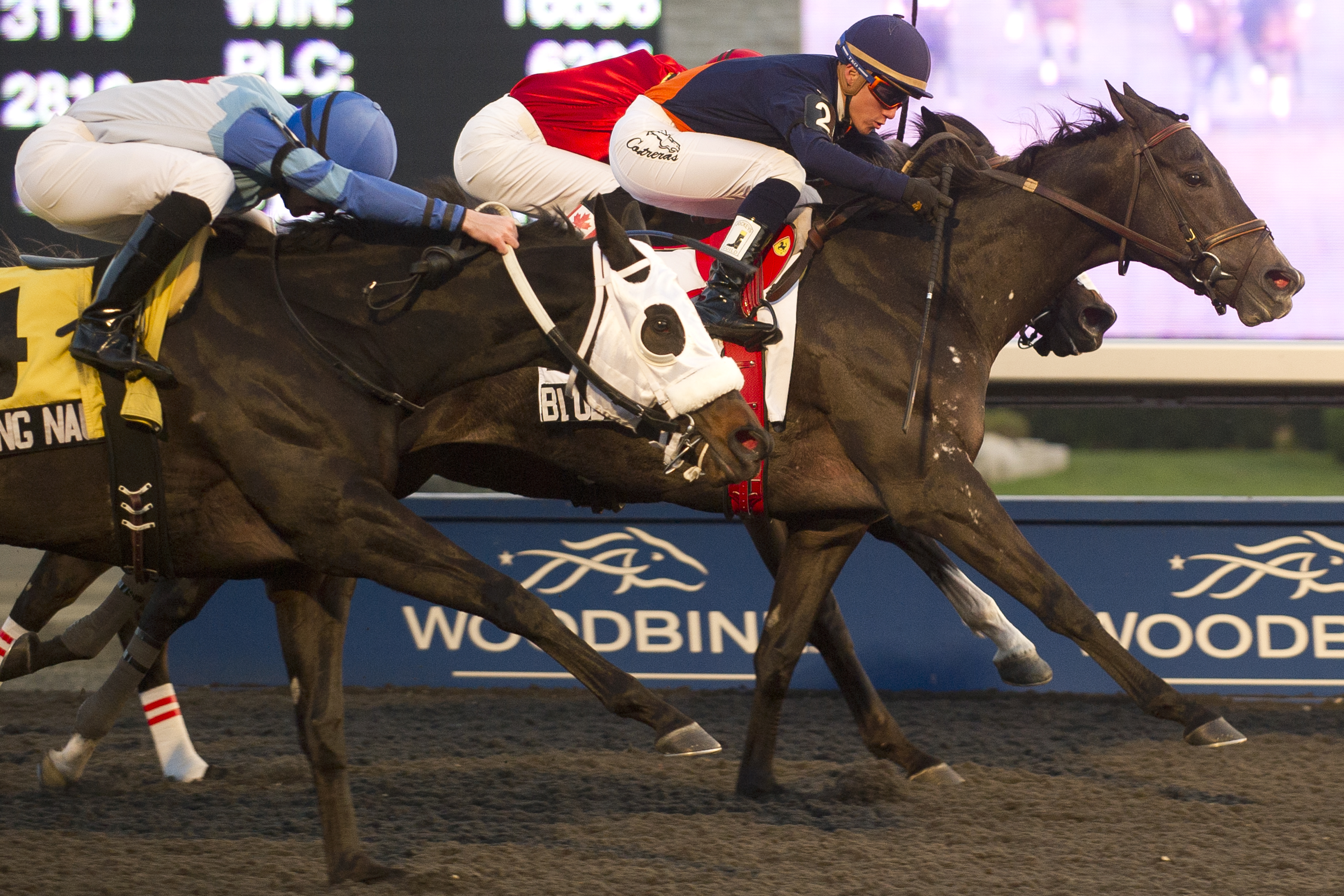 Blue Heart, Jammed Lovely Stakes