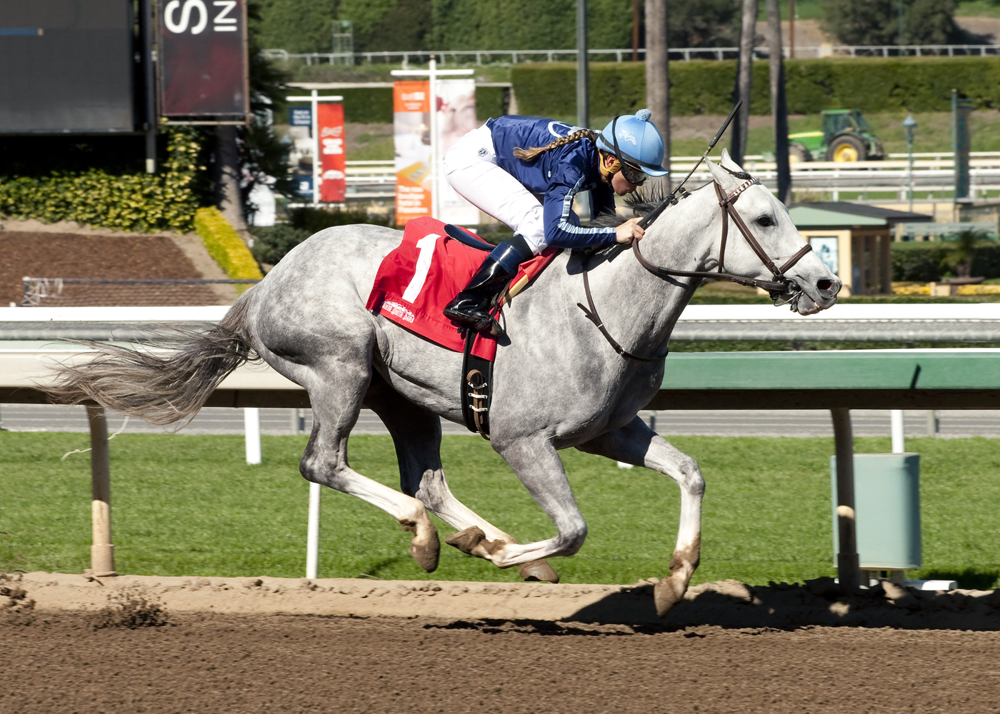 Blue Law wins a Feb. 11, 2016 maiden race