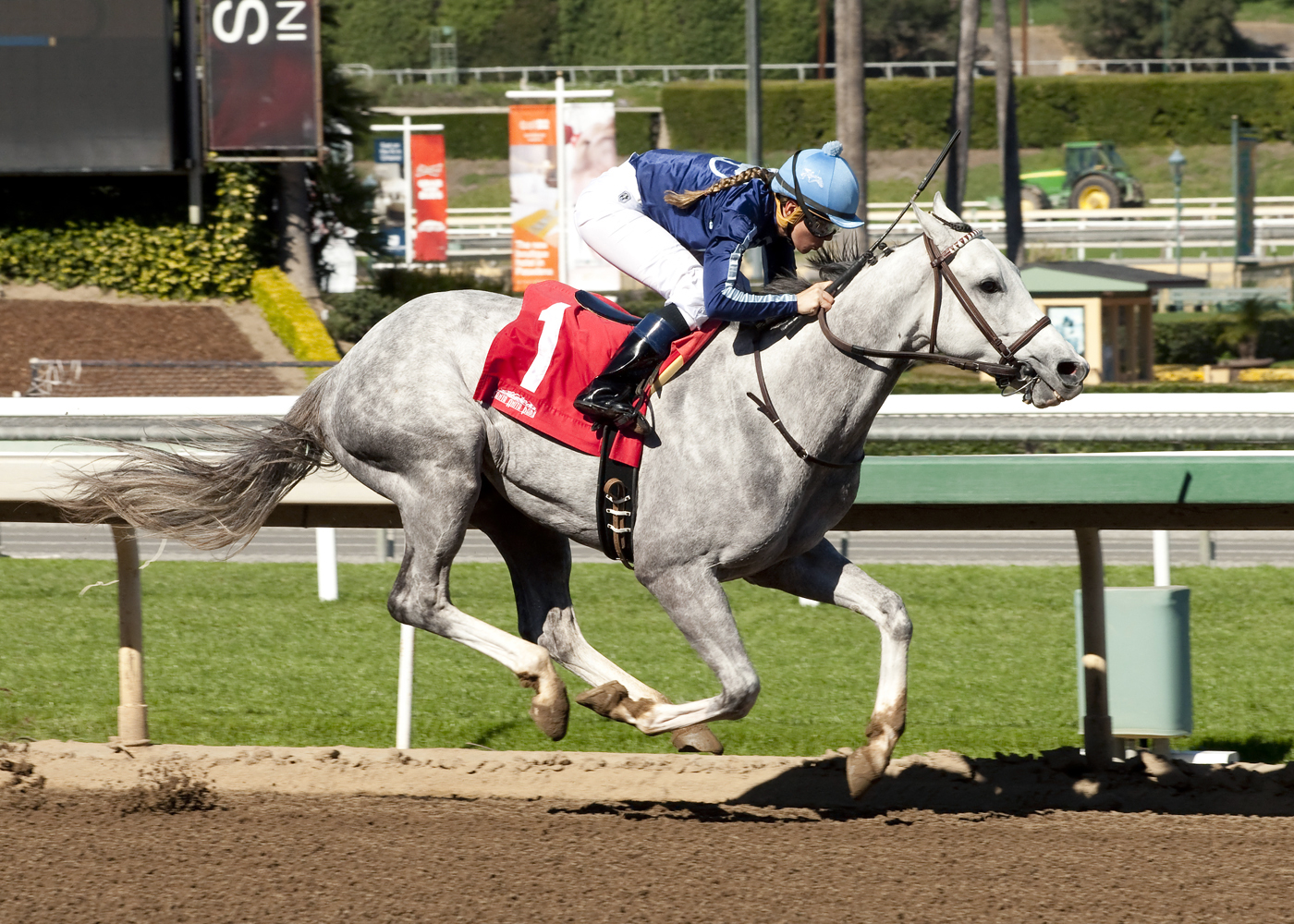 Blue Law wins a Feb. 11, 2016 maiden race