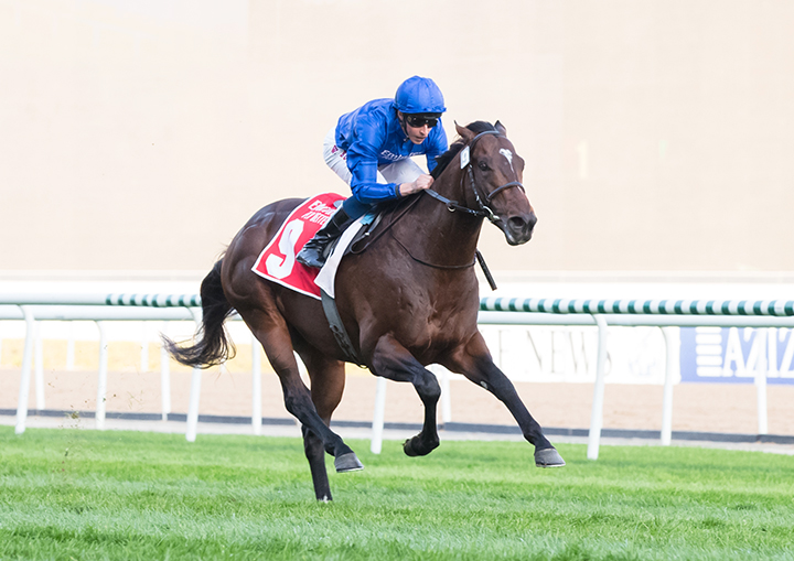 Blue Point wins the 2019 Nad Al Sheba Turf Sprint Stakes