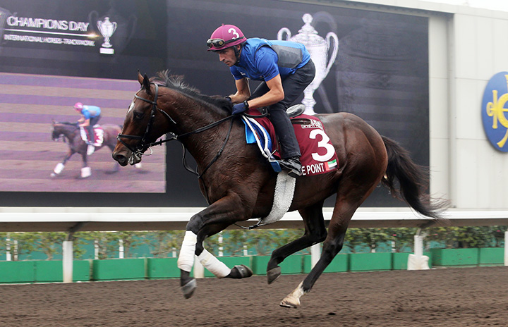Blue Point trains at Sha Tin in April 2018