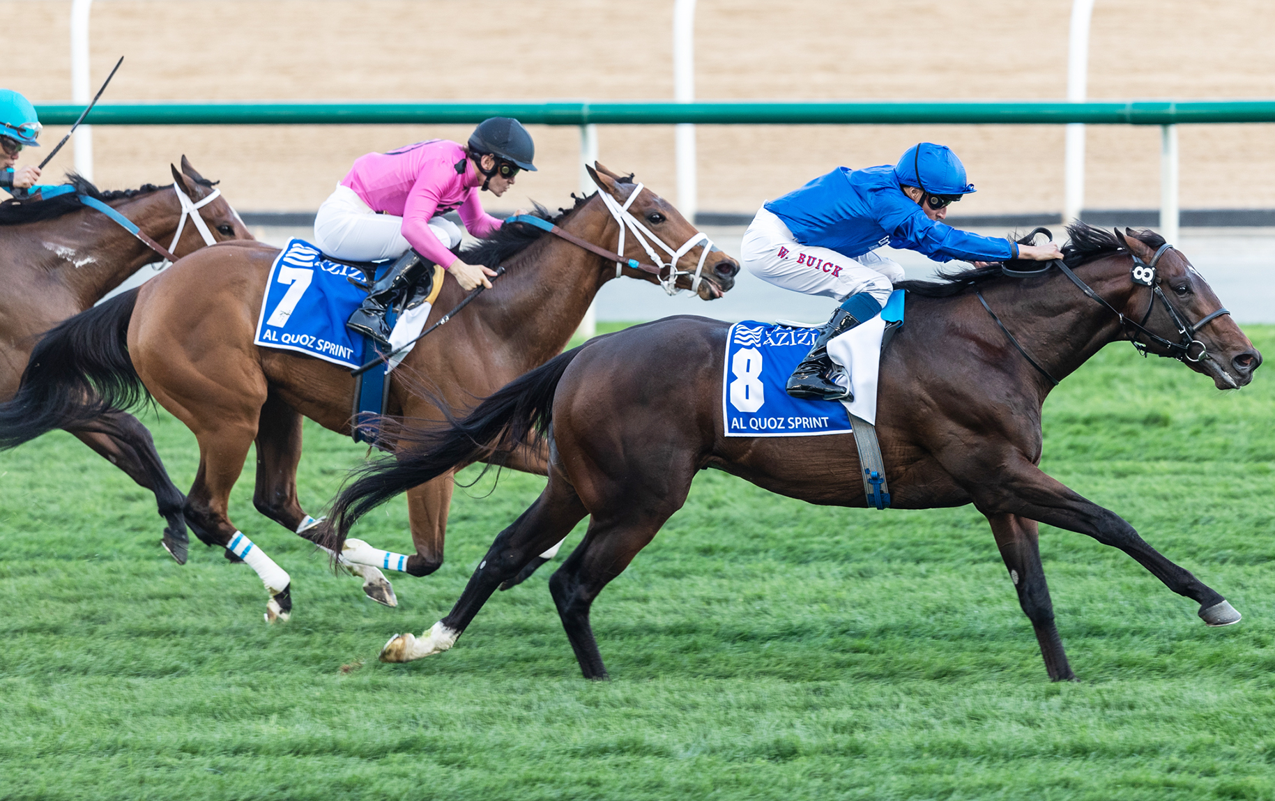 Belvoir Bay finishes second in the 2019 Al Quoz Sprint
