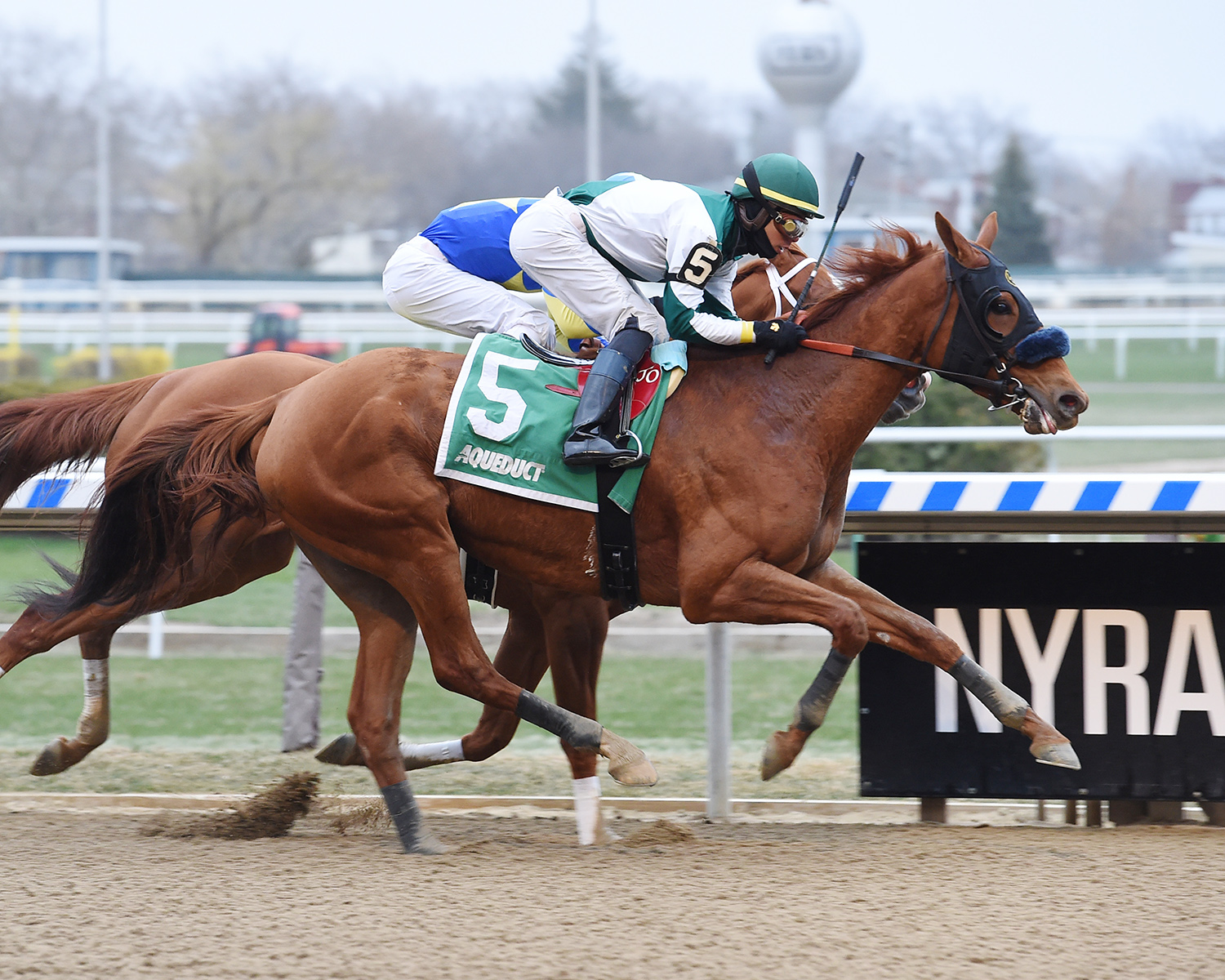 Blue Prize wins the 2018 Top Flight Handicap