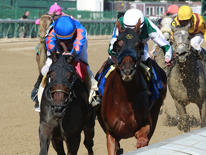Blue Prize wins the 2018 Locust Grove Stakes