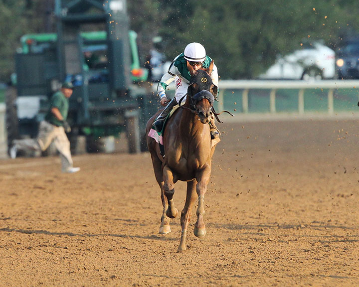 Blue Prize wins the 2018 Spinster