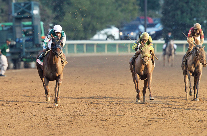 Blue Prize wins the 2018 Spinster