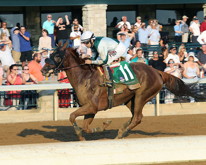 Blue Prize wins the 2018 Spinster