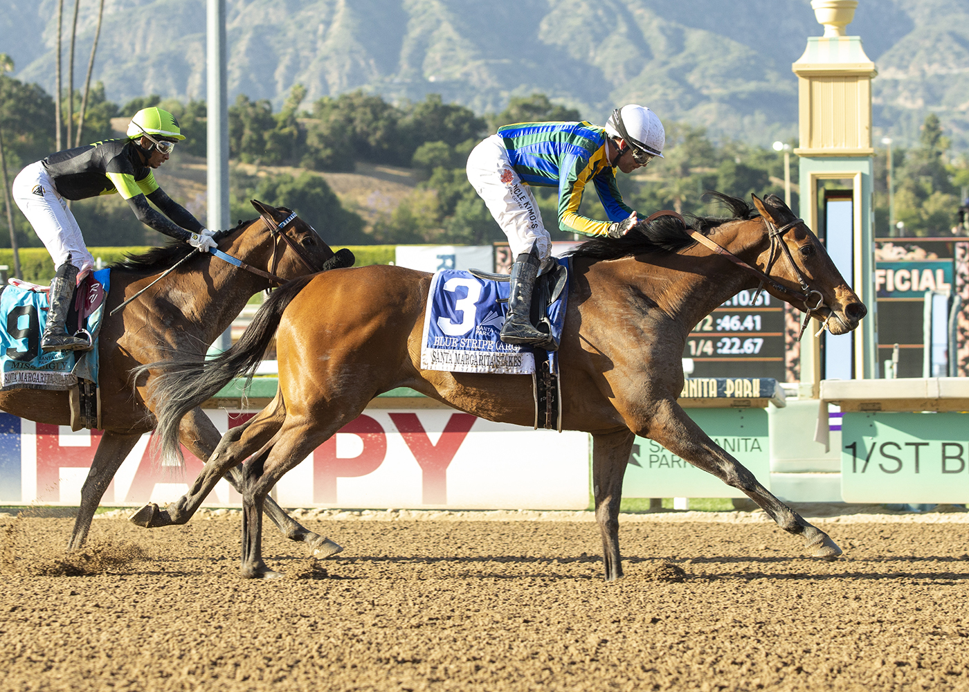 Blue Stripe - Santa Margarita S. 2022