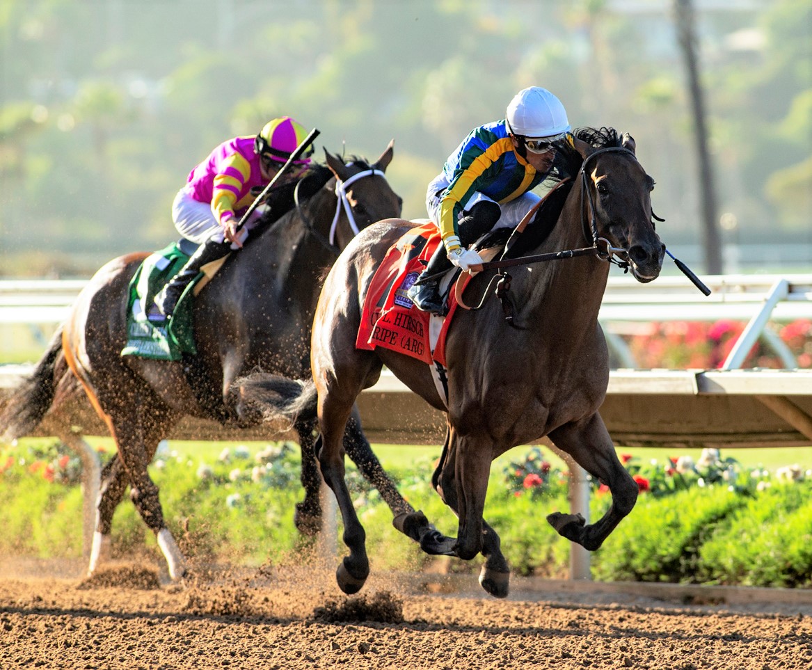 Blue Stripe wins the Clement Hirsch at Del Mar Aug 6 2022