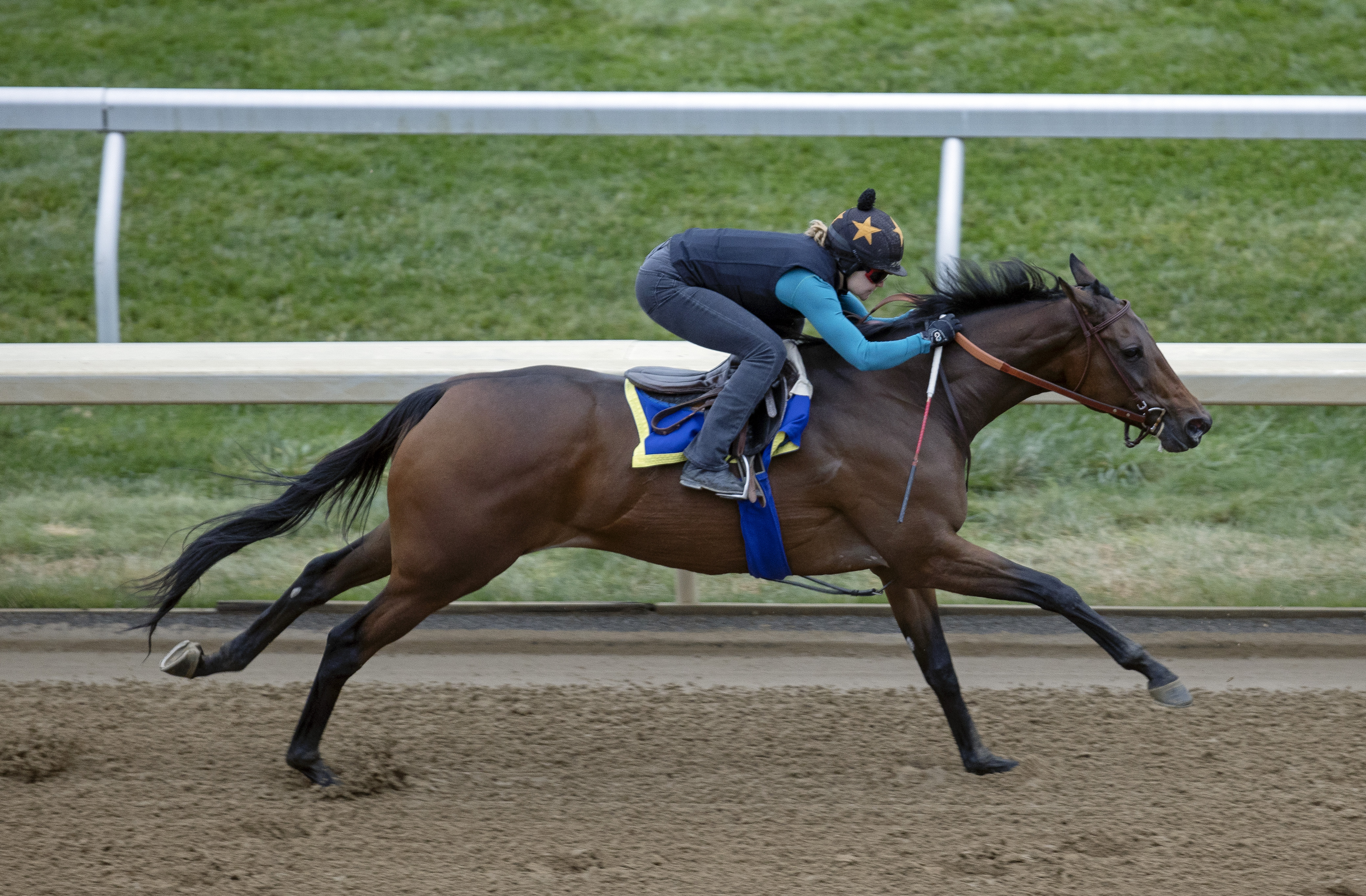 Blue Stripe works at Keeneland Oct 26 2022